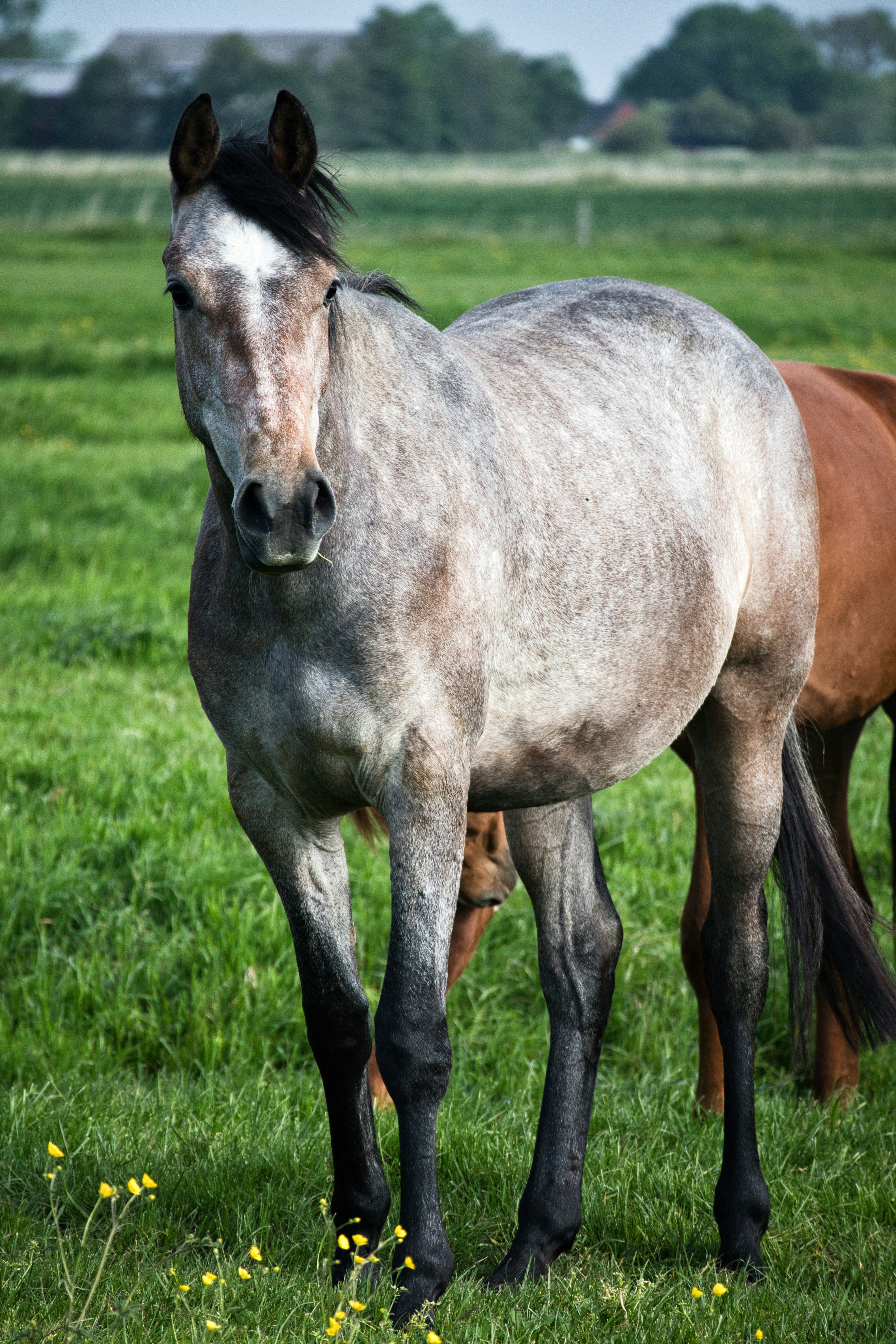 Photo by torben_gettermann