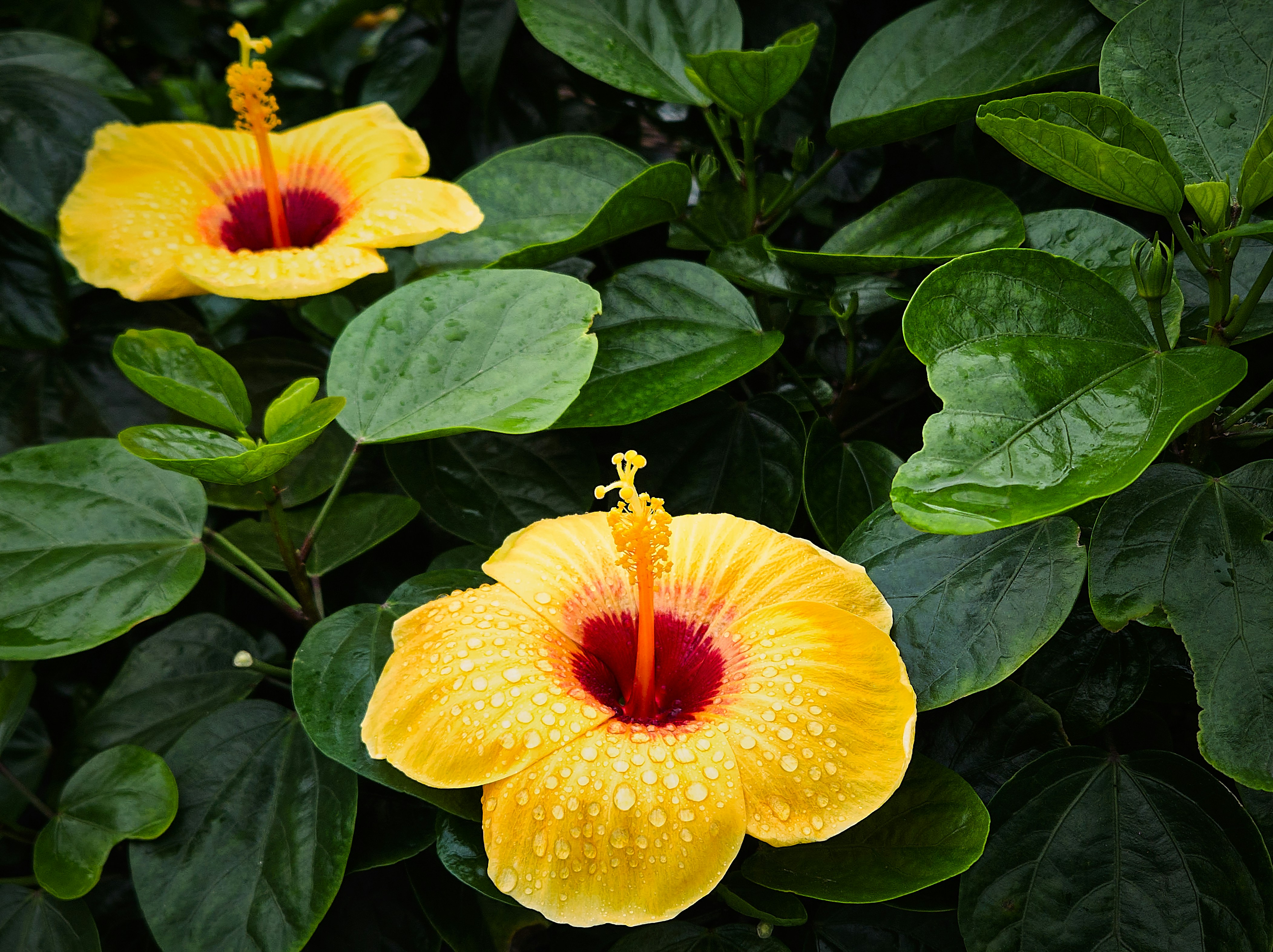 Photo by starichok1986