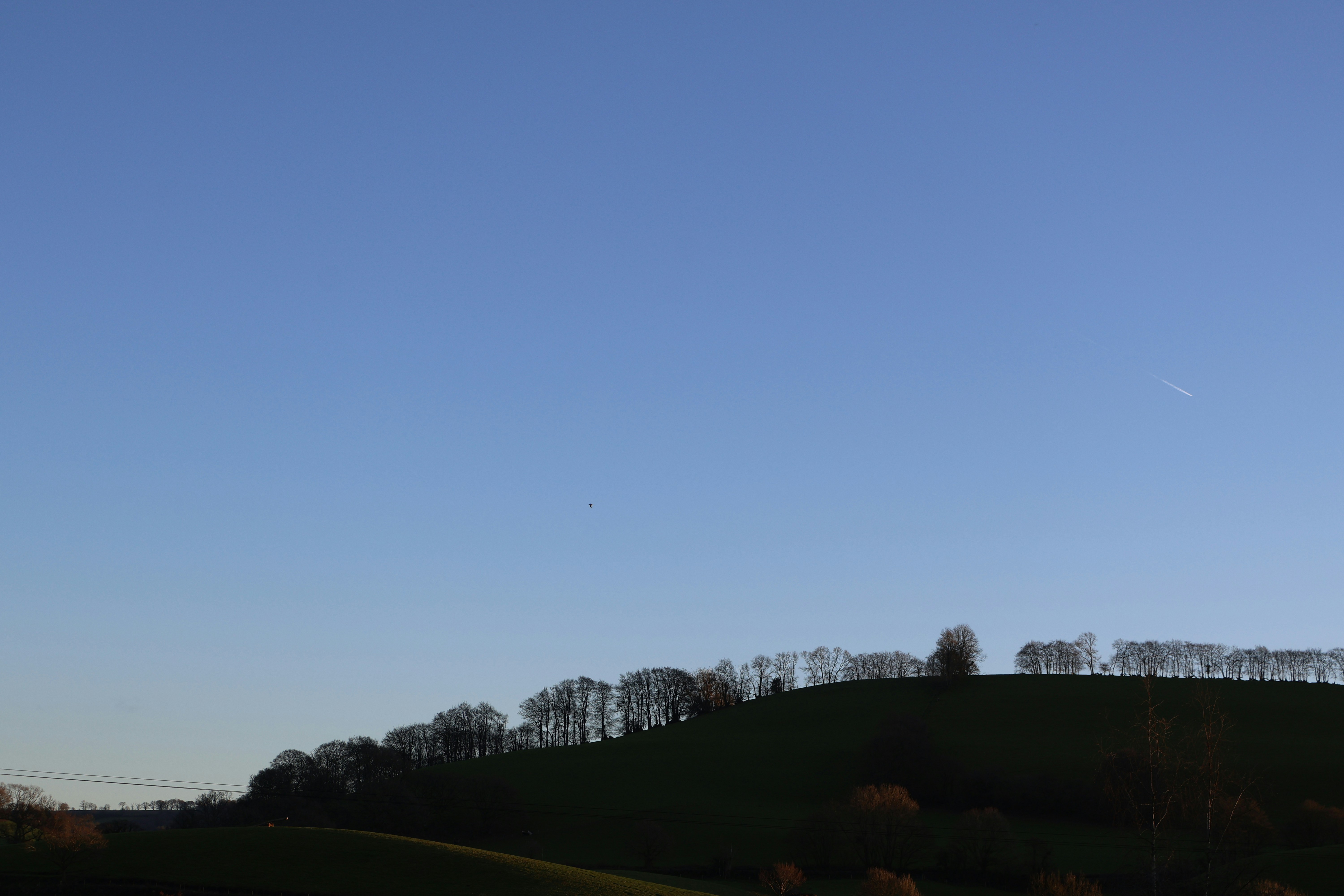 Photo by tanyabarrow