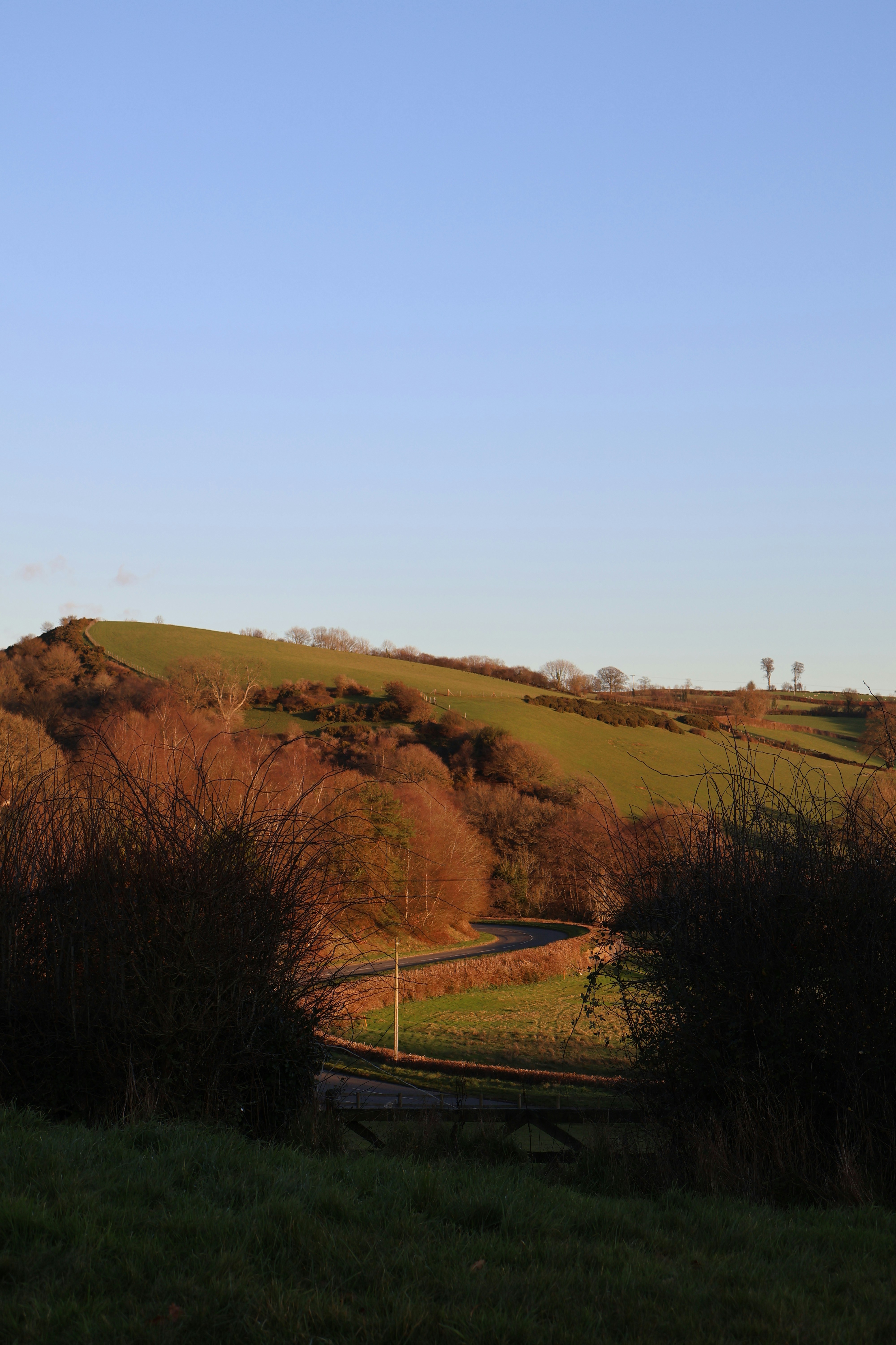 Photo by tanyabarrow