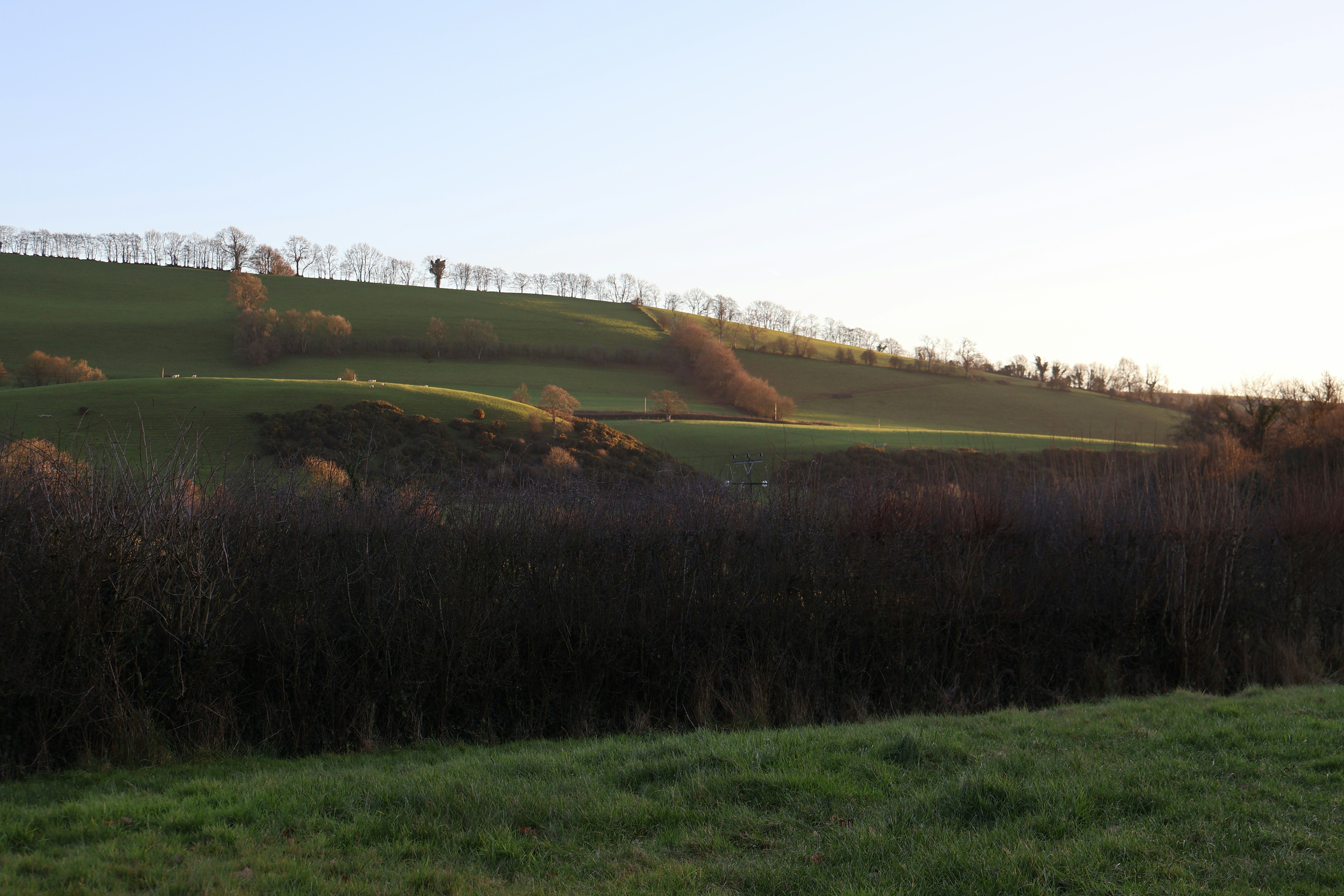 Photo by tanyabarrow