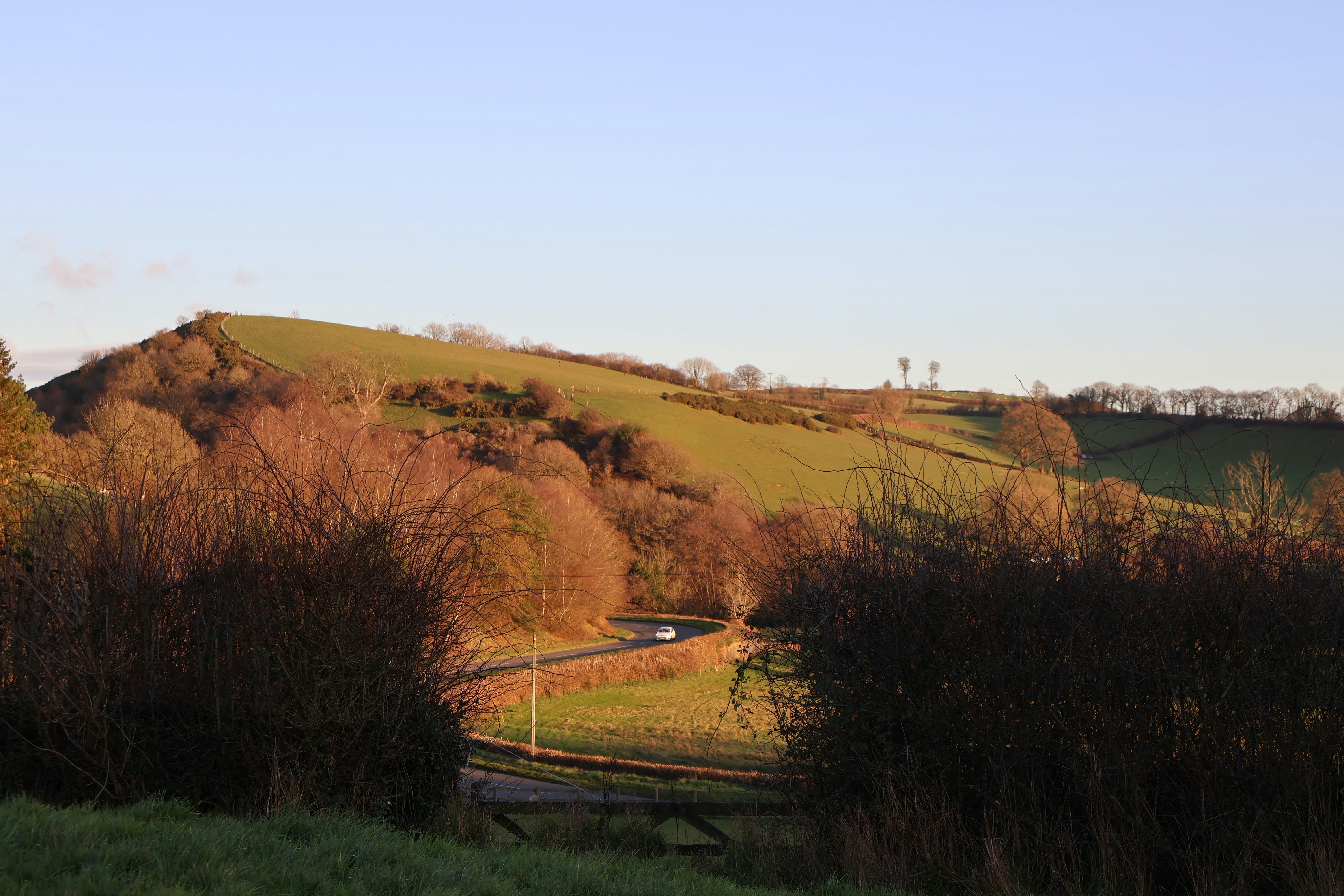 Photo by tanyabarrow