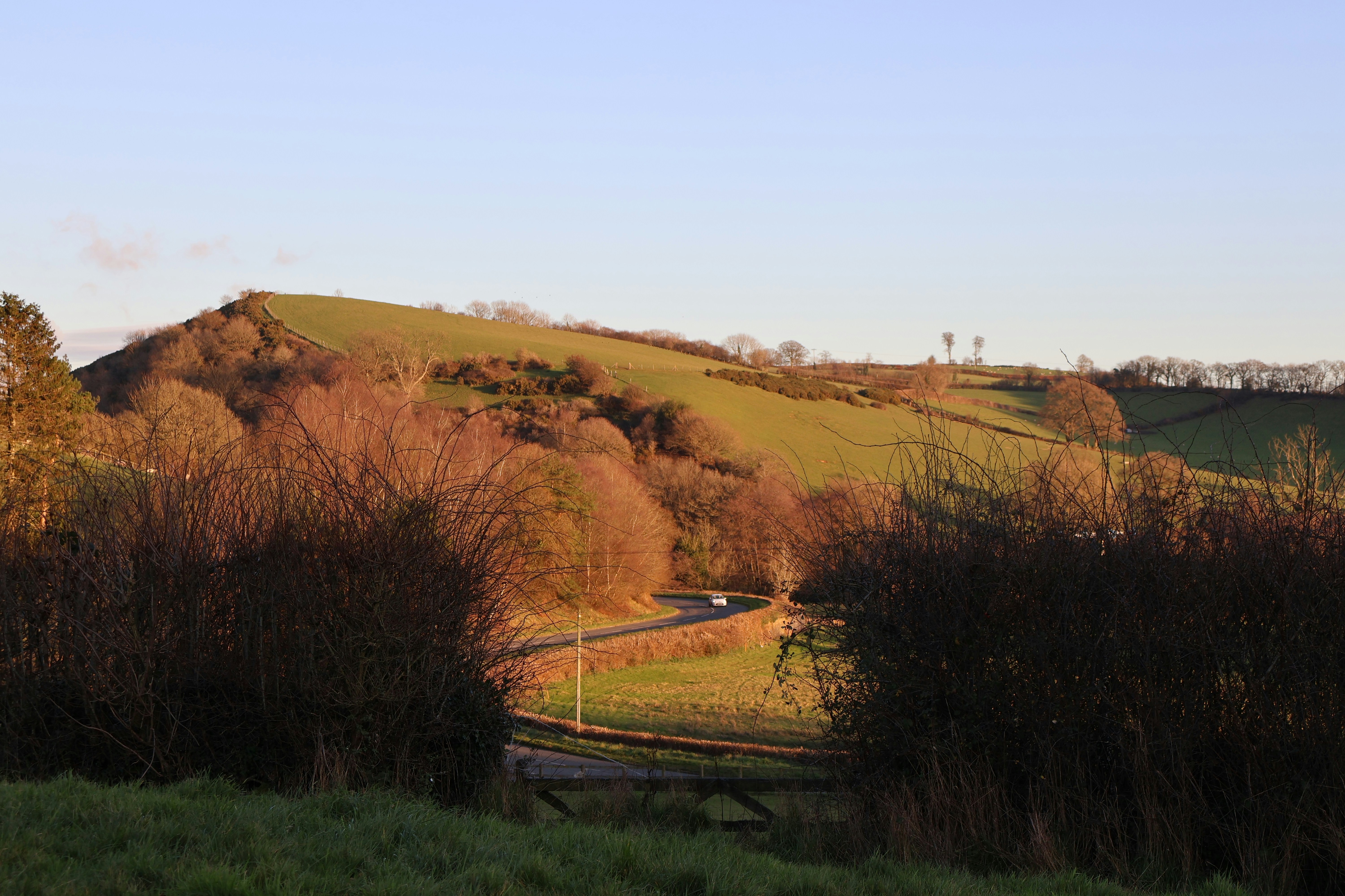 Photo by tanyabarrow