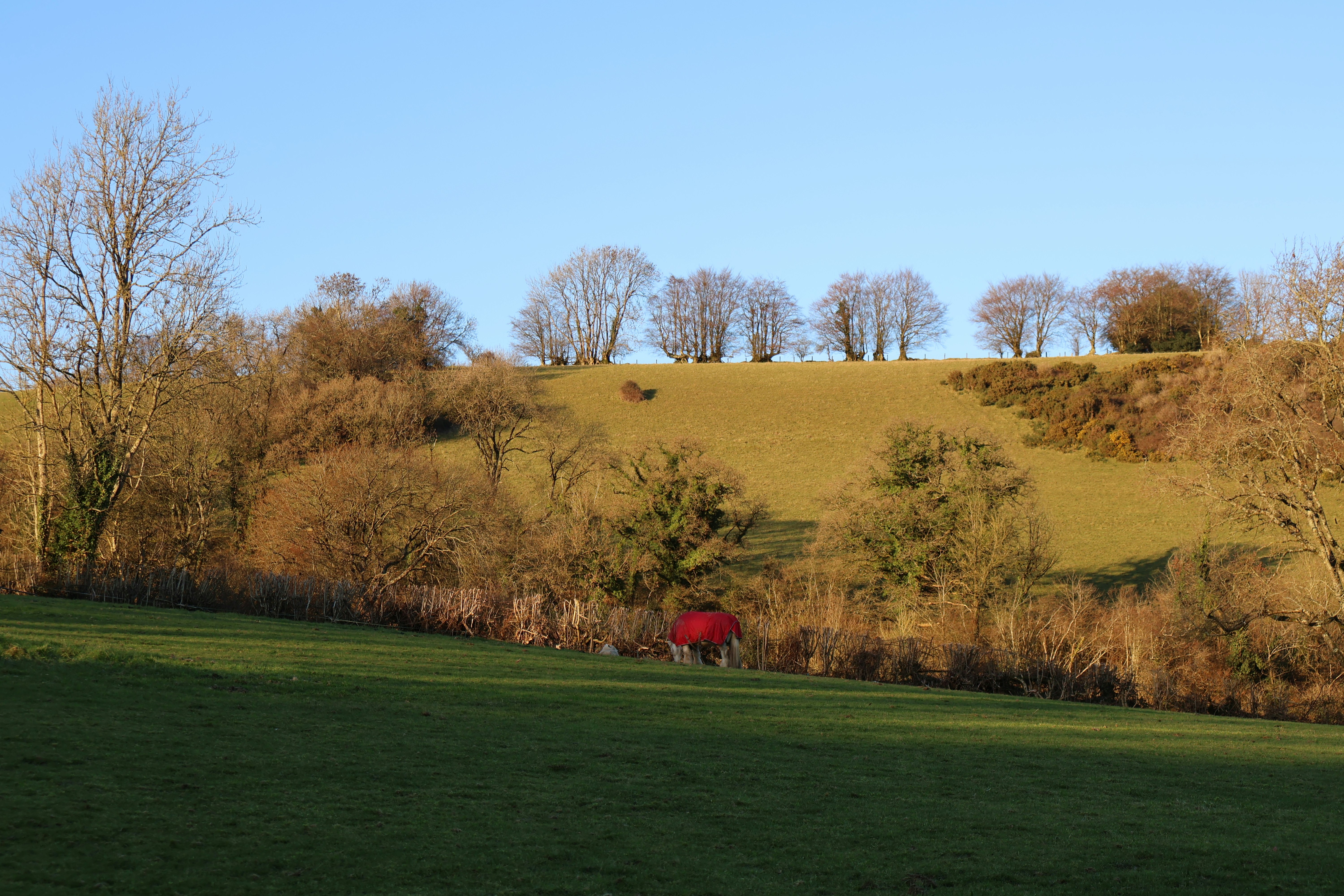 Photo by tanyabarrow