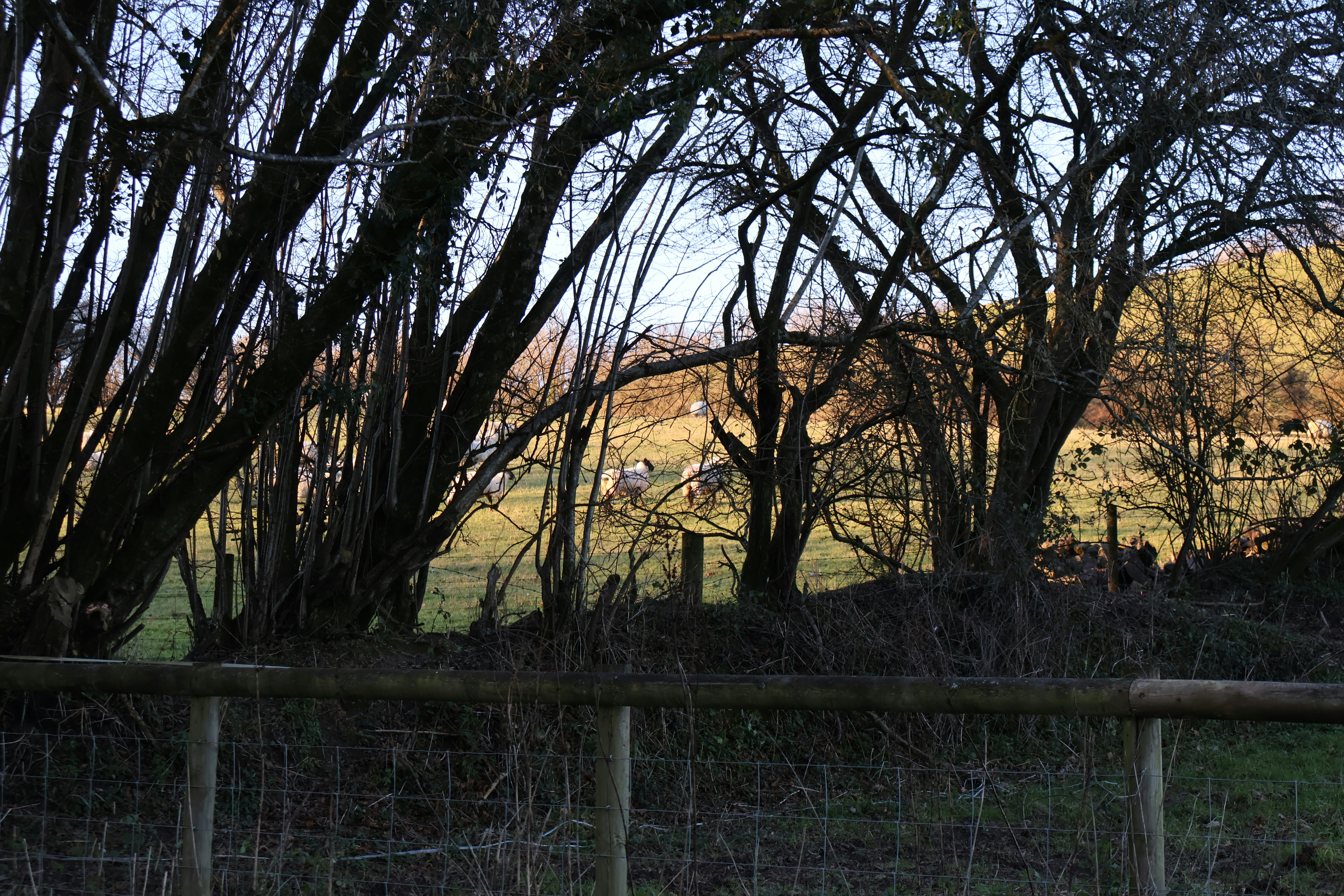 Photo by tanyabarrow