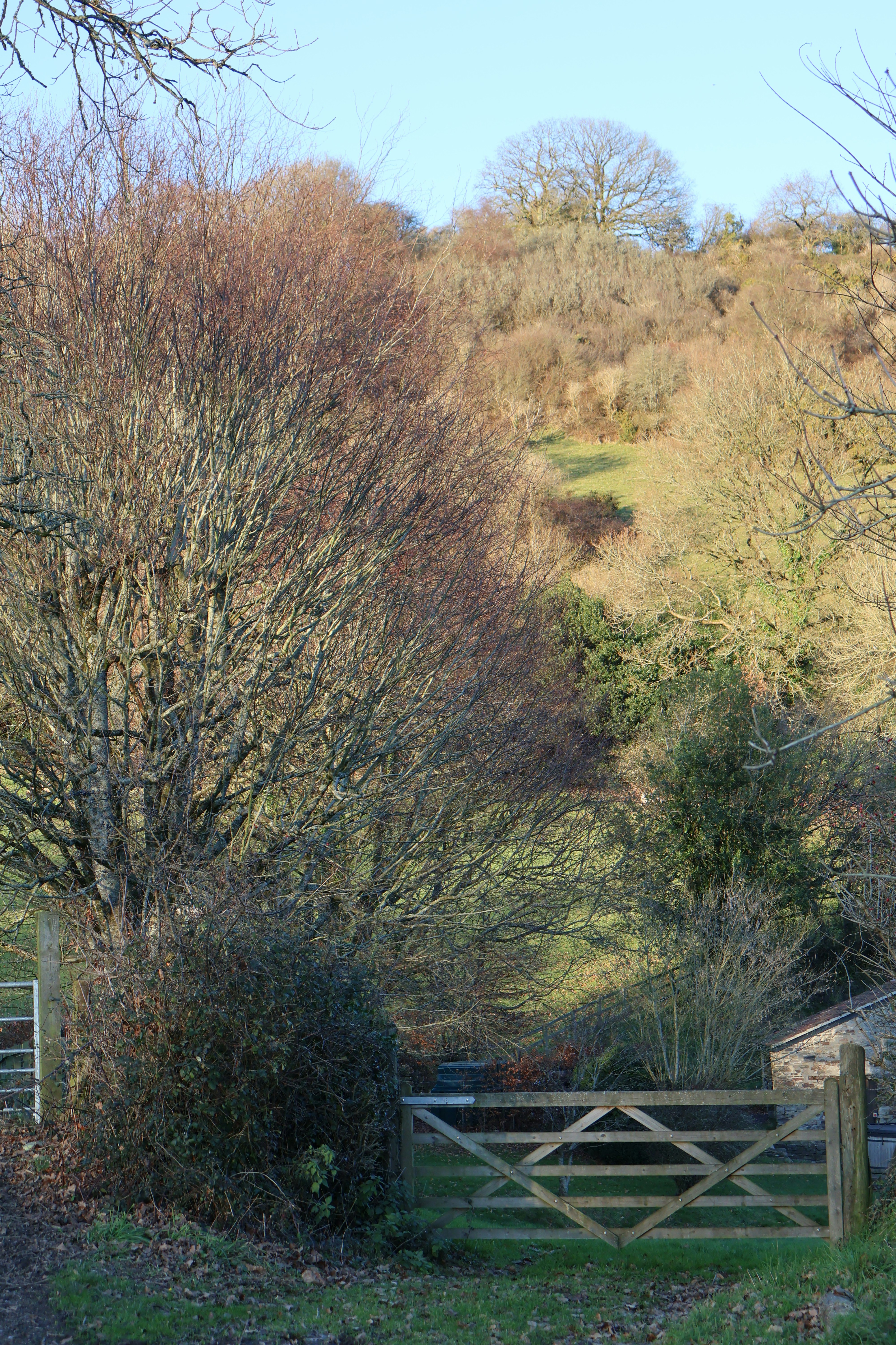 Photo by tanyabarrow