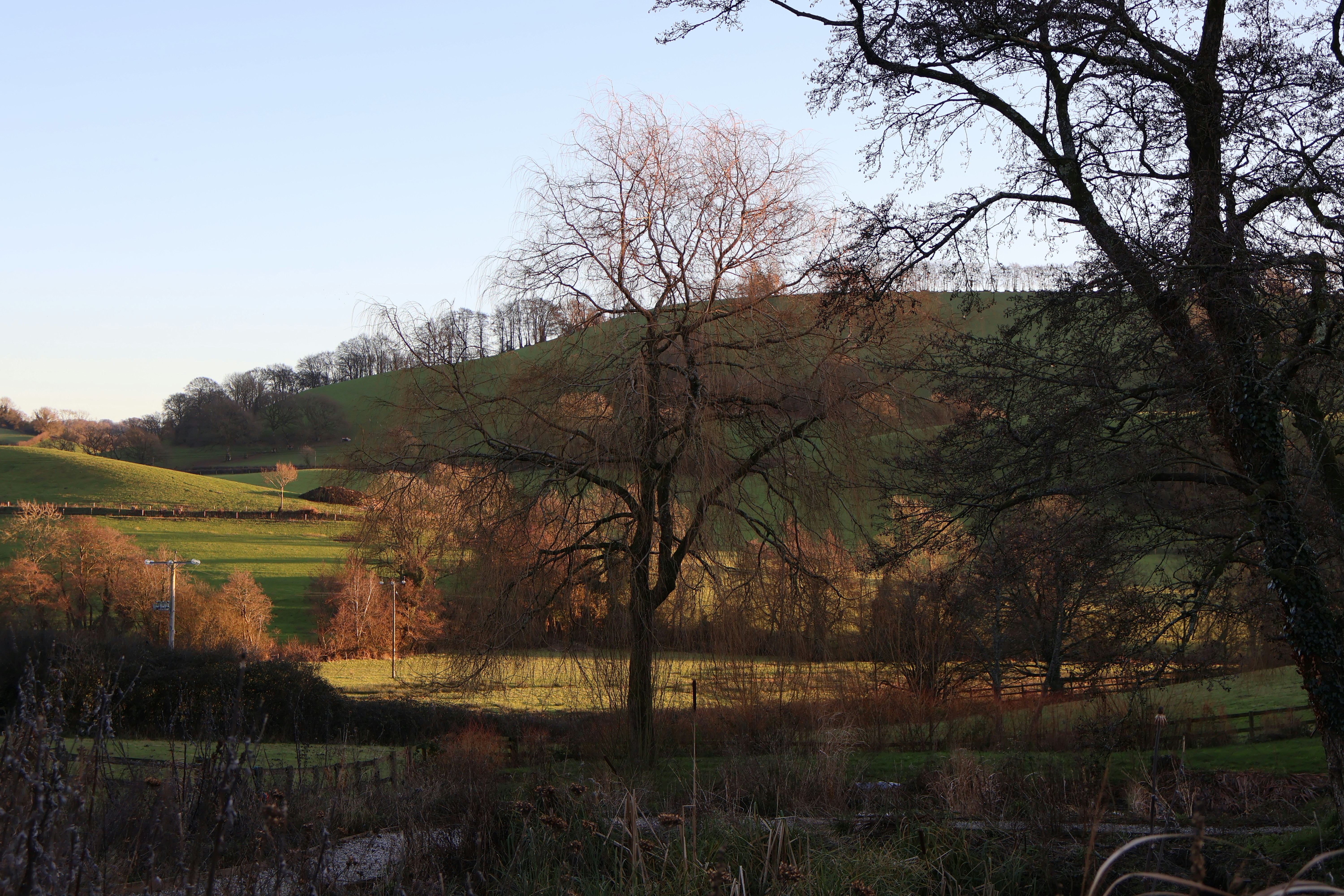 Photo by tanyabarrow