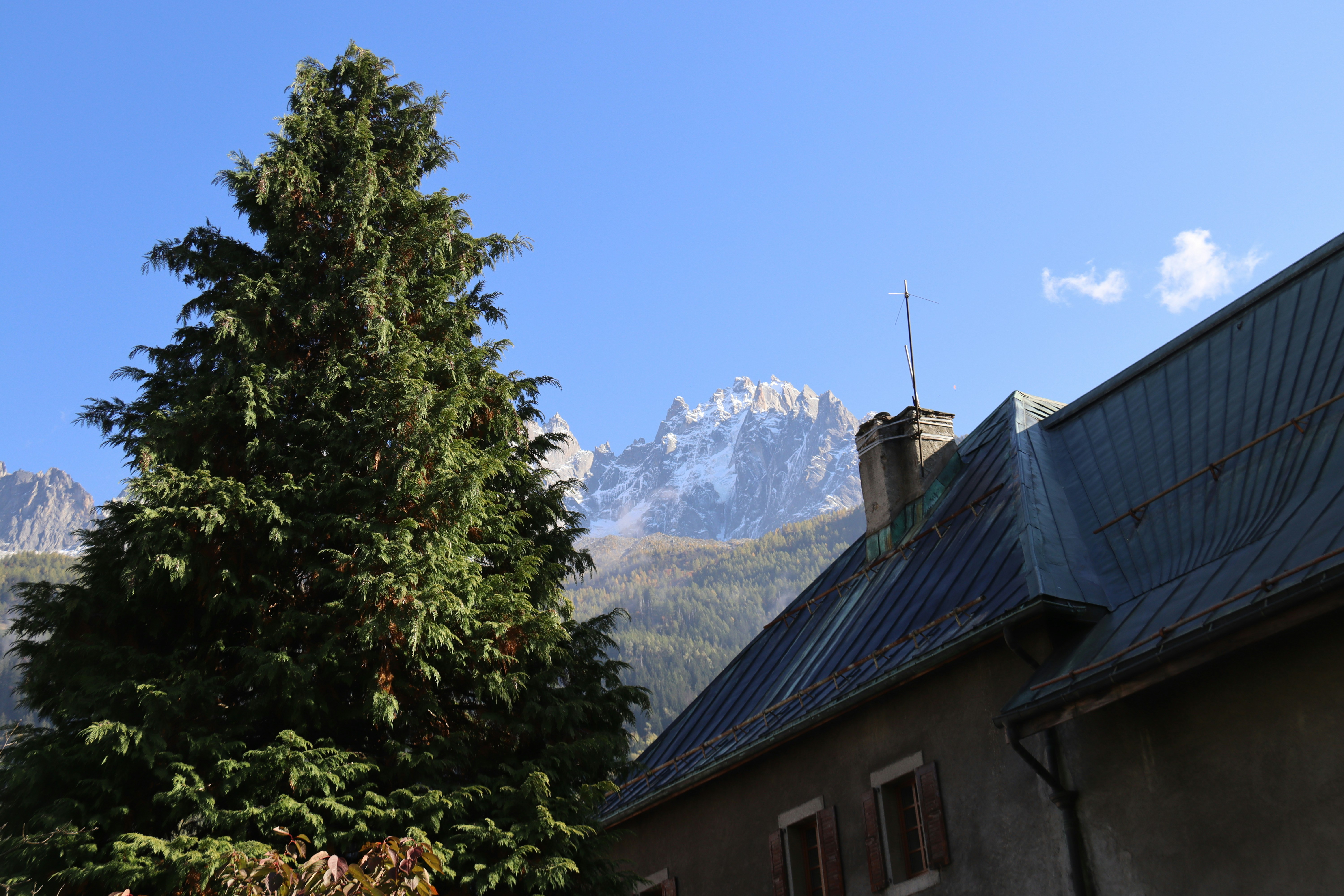 Photo by shalevcohen