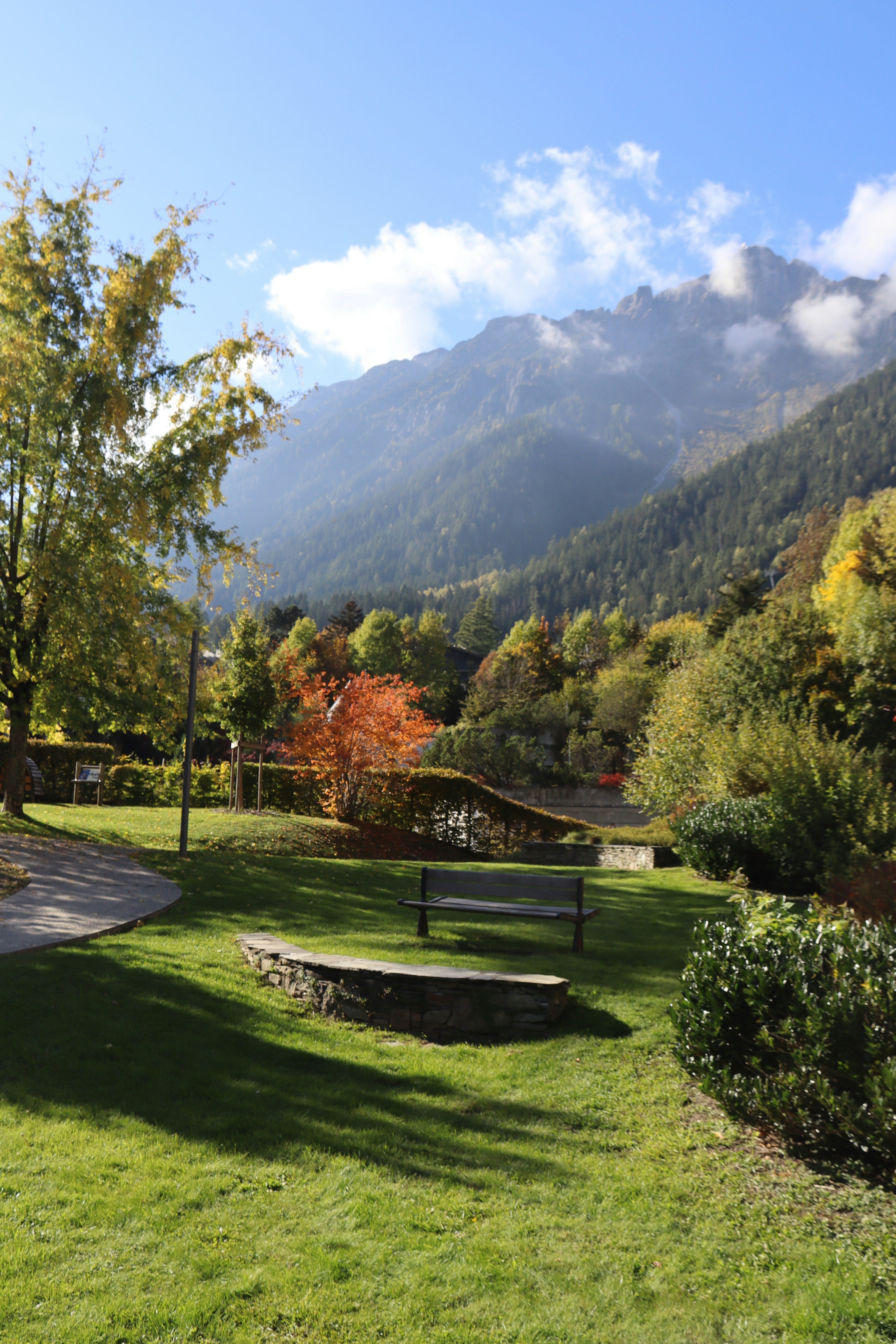 Photo by shalevcohen