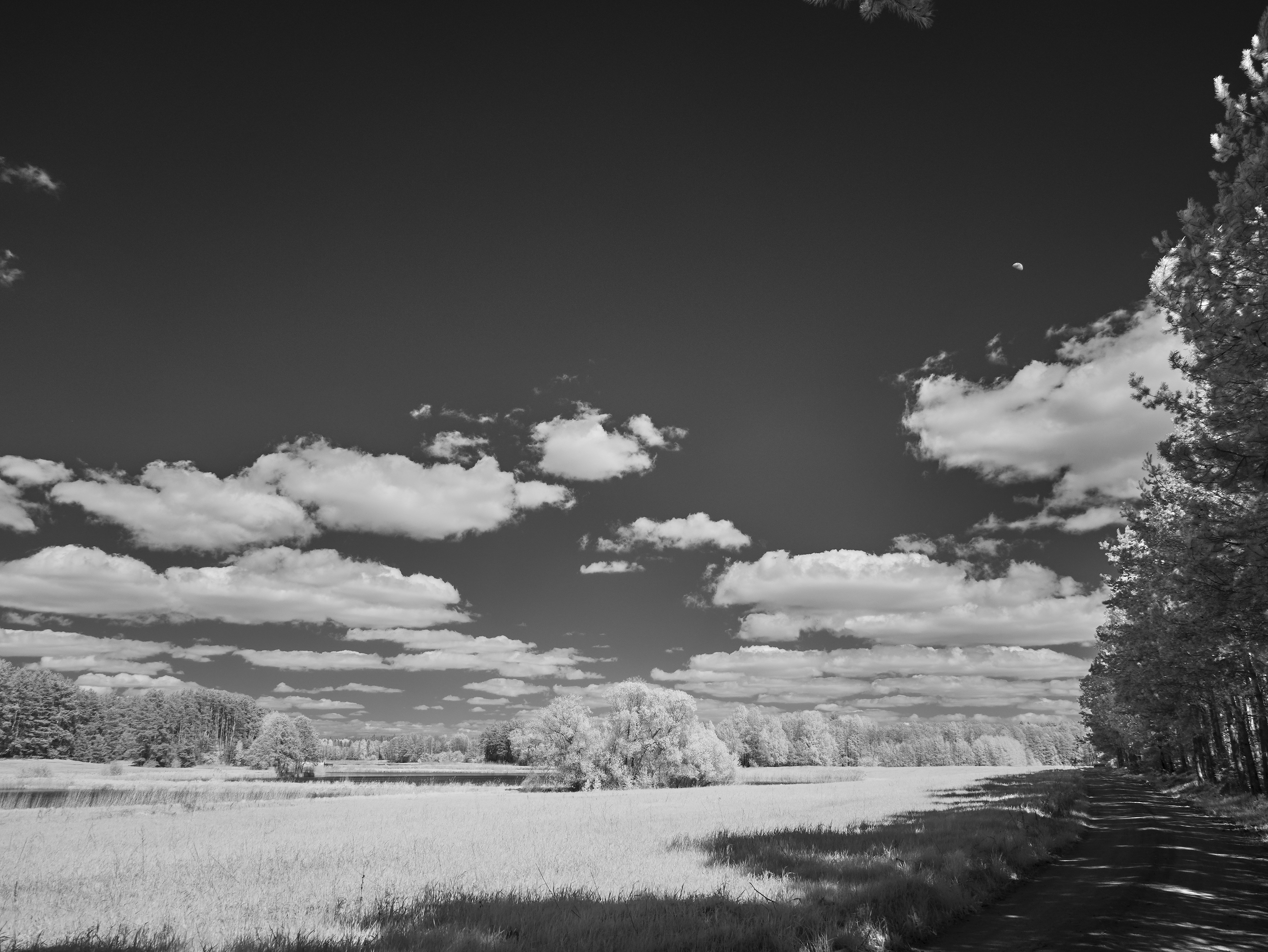 Photo by wolfgang_hasselmann