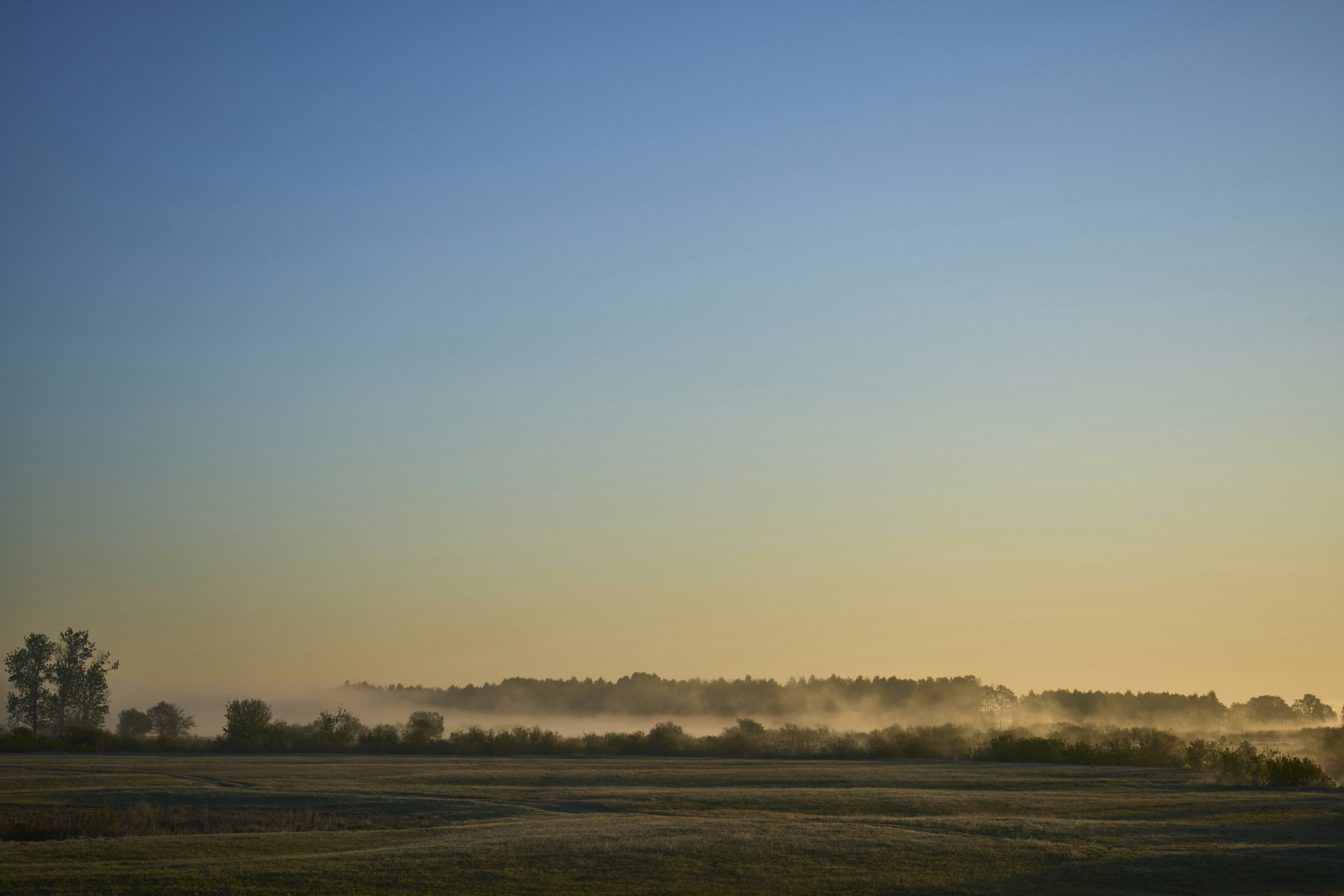 Photo by wolfgang_hasselmann