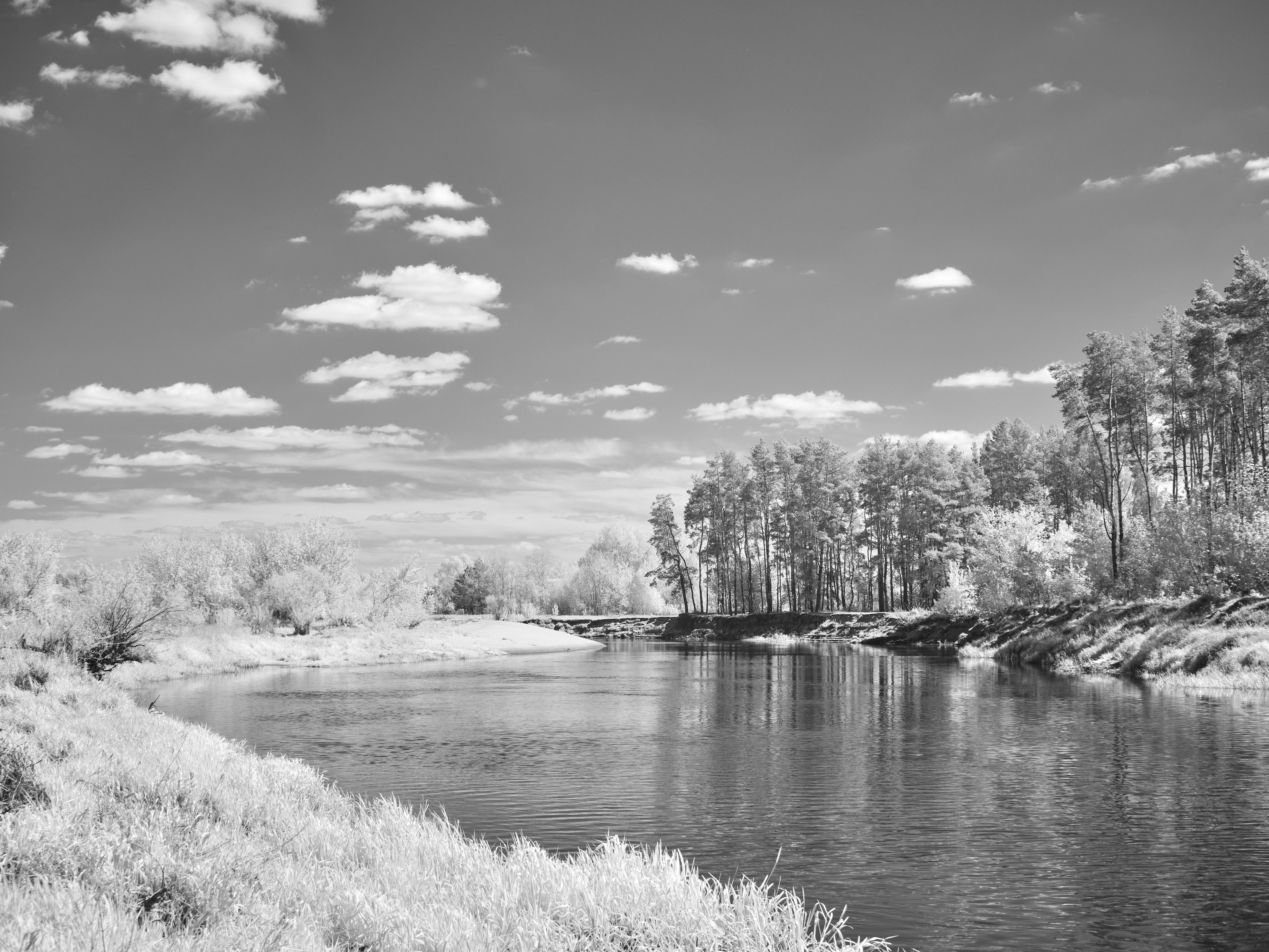 Photo by wolfgang_hasselmann