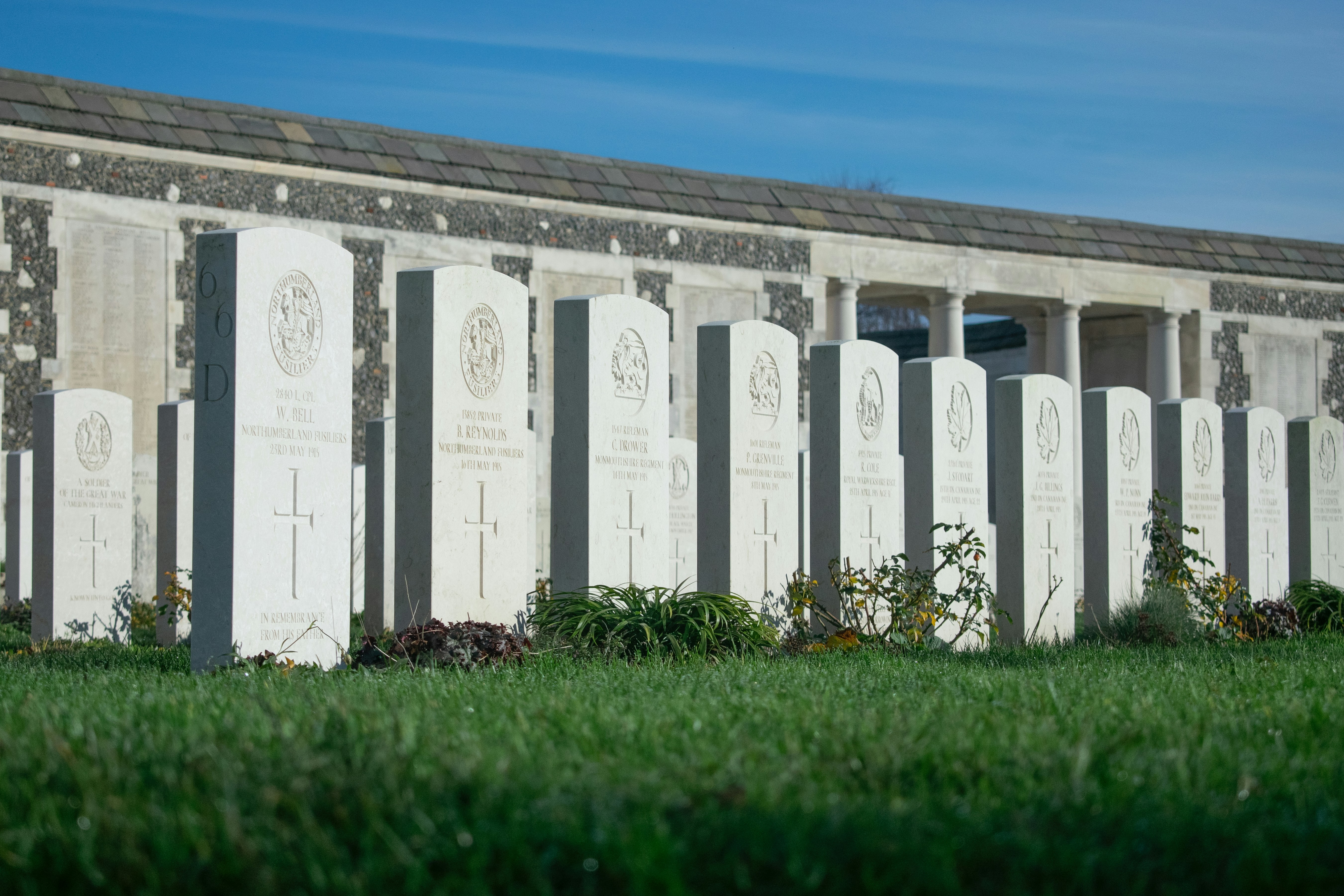 Rows of white gravestones in a cemetery