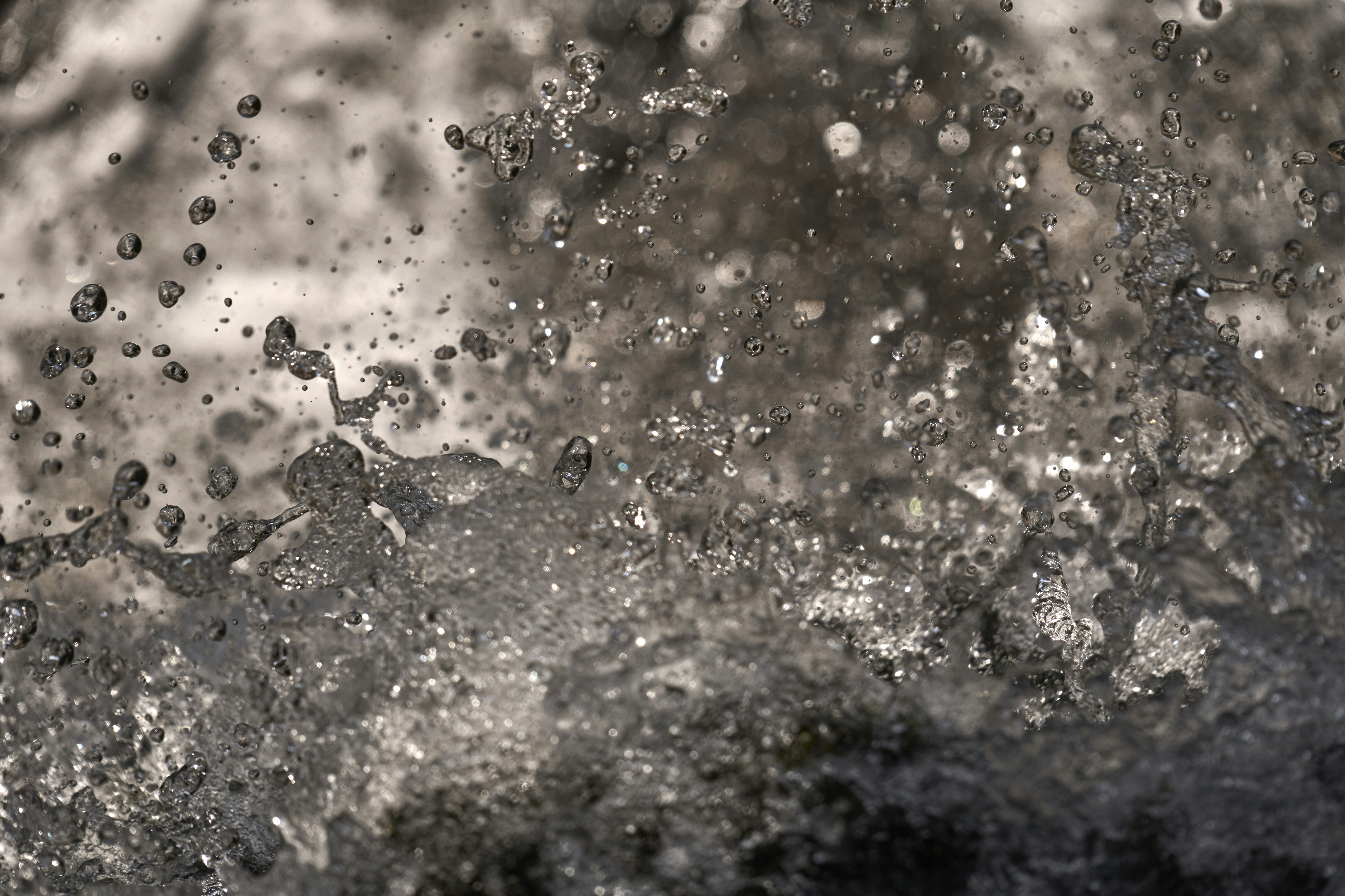 Photo by wolfgang_hasselmann