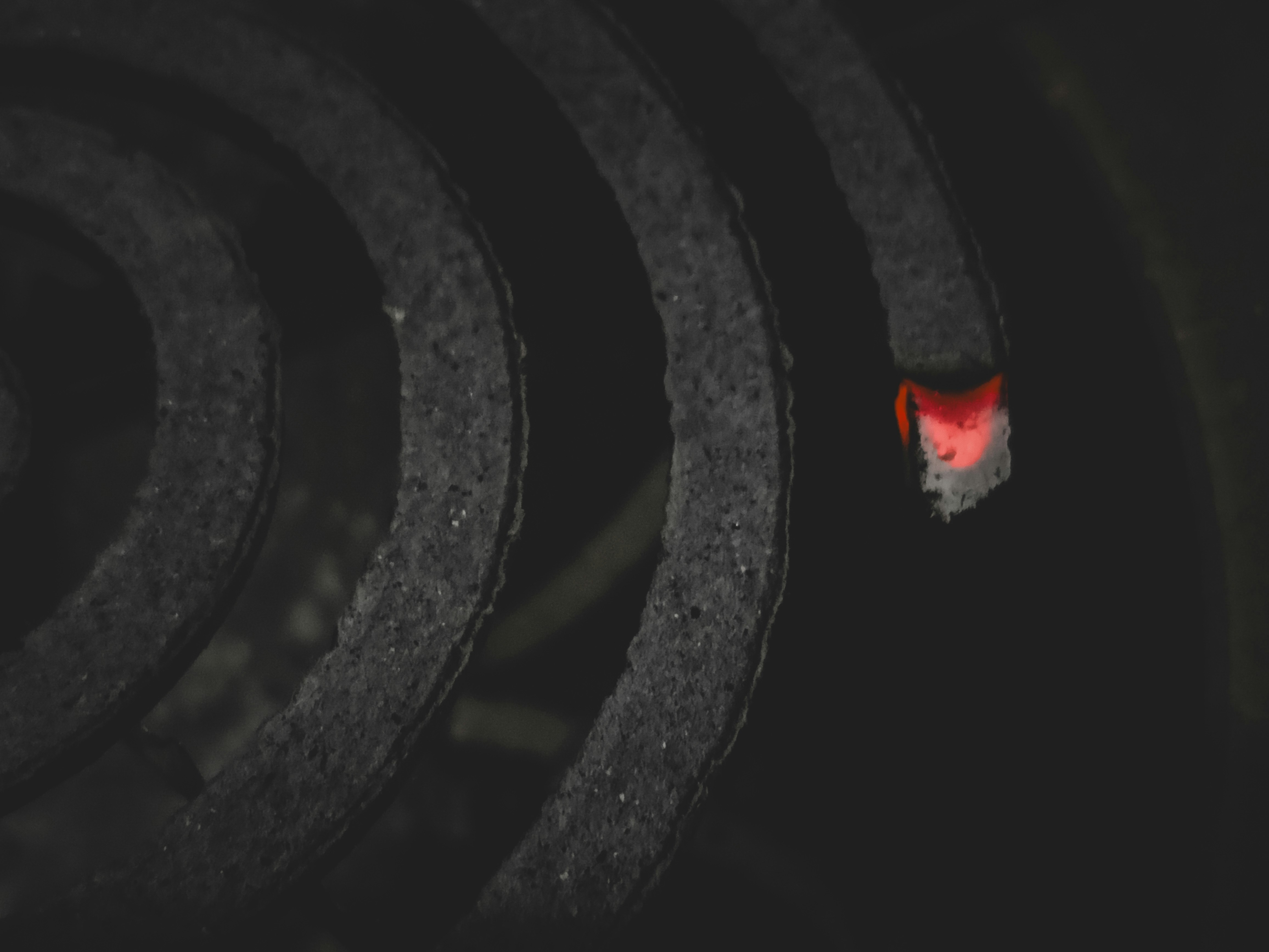 Eco-Friendly Pest Control Solutions Explained