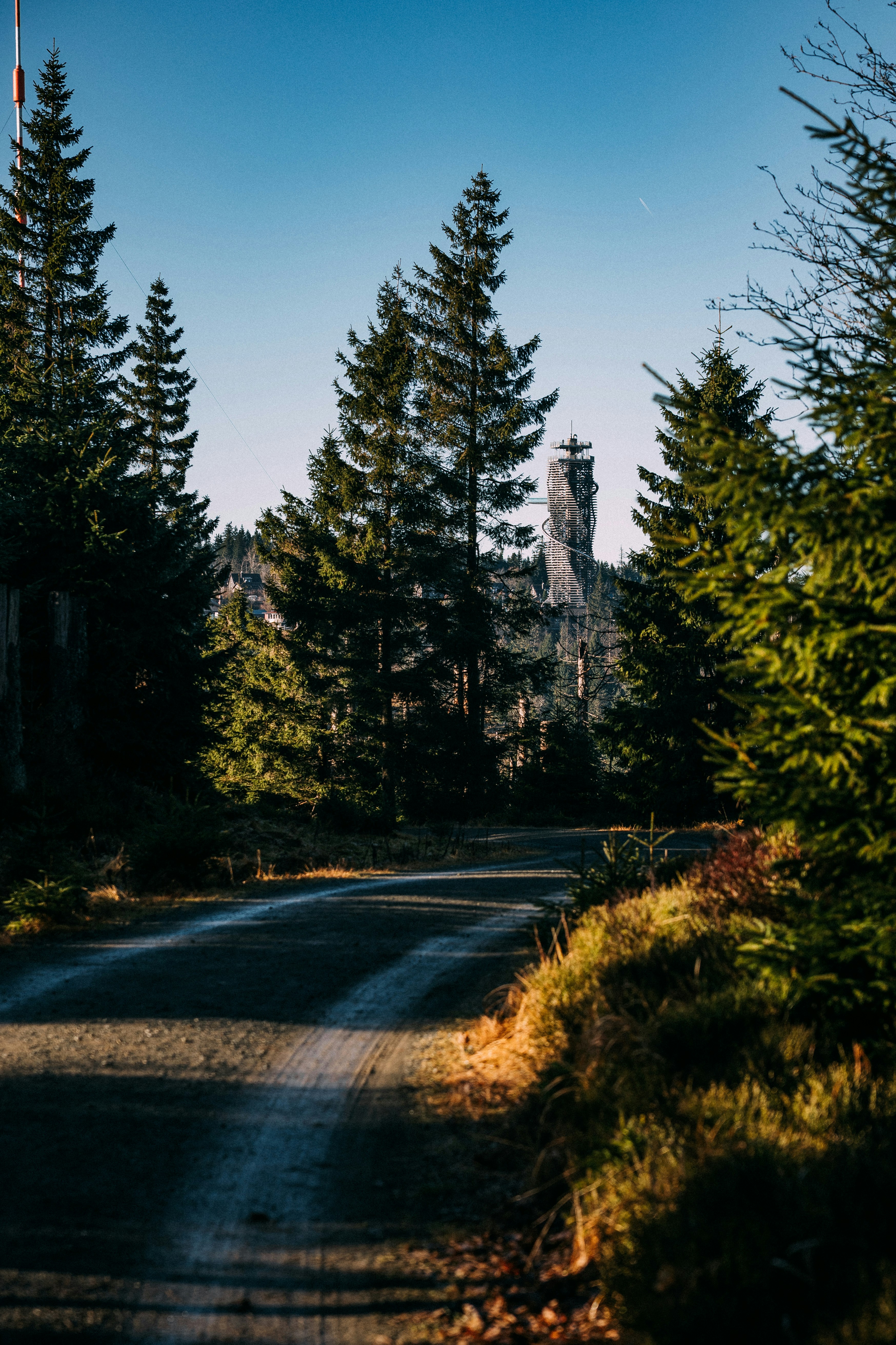 A narrow path leading through a quiet forest landscape with bare trees and a small water canal. A moody nature scene evoking solitude, calm, and the subtle beauty of untouched wilderness.