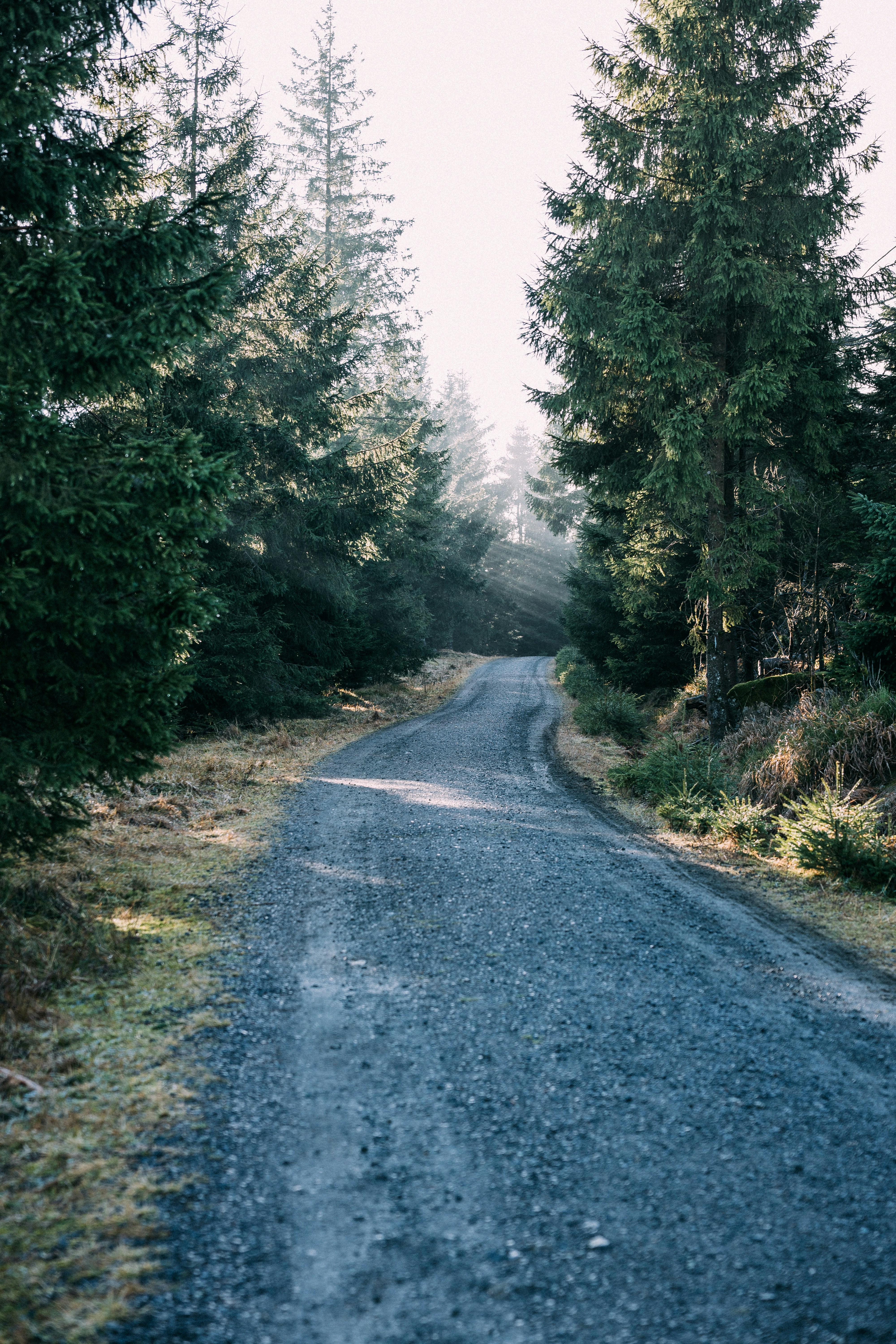 Photo by danny_rienecker