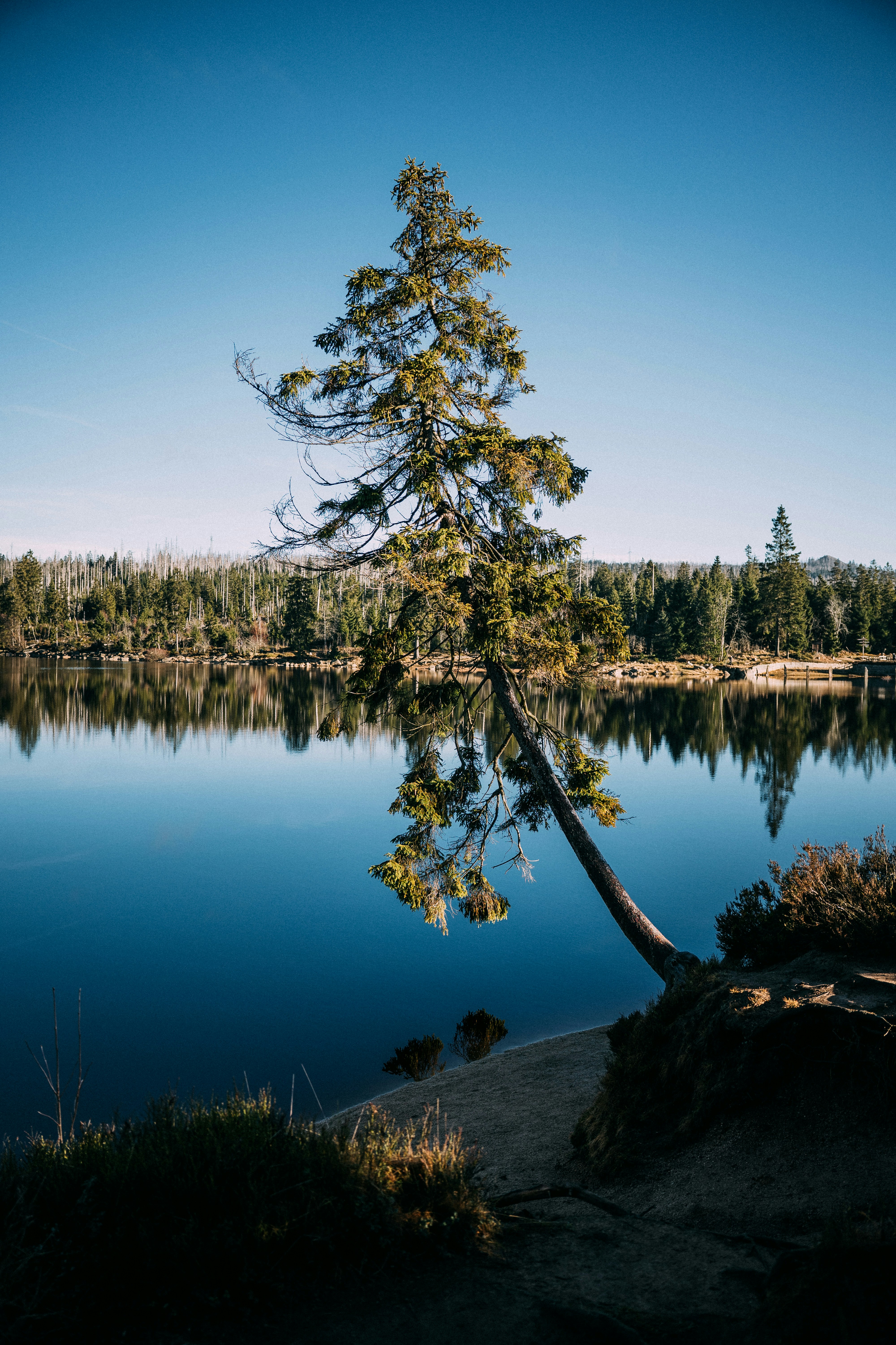 Photo by danny_rienecker