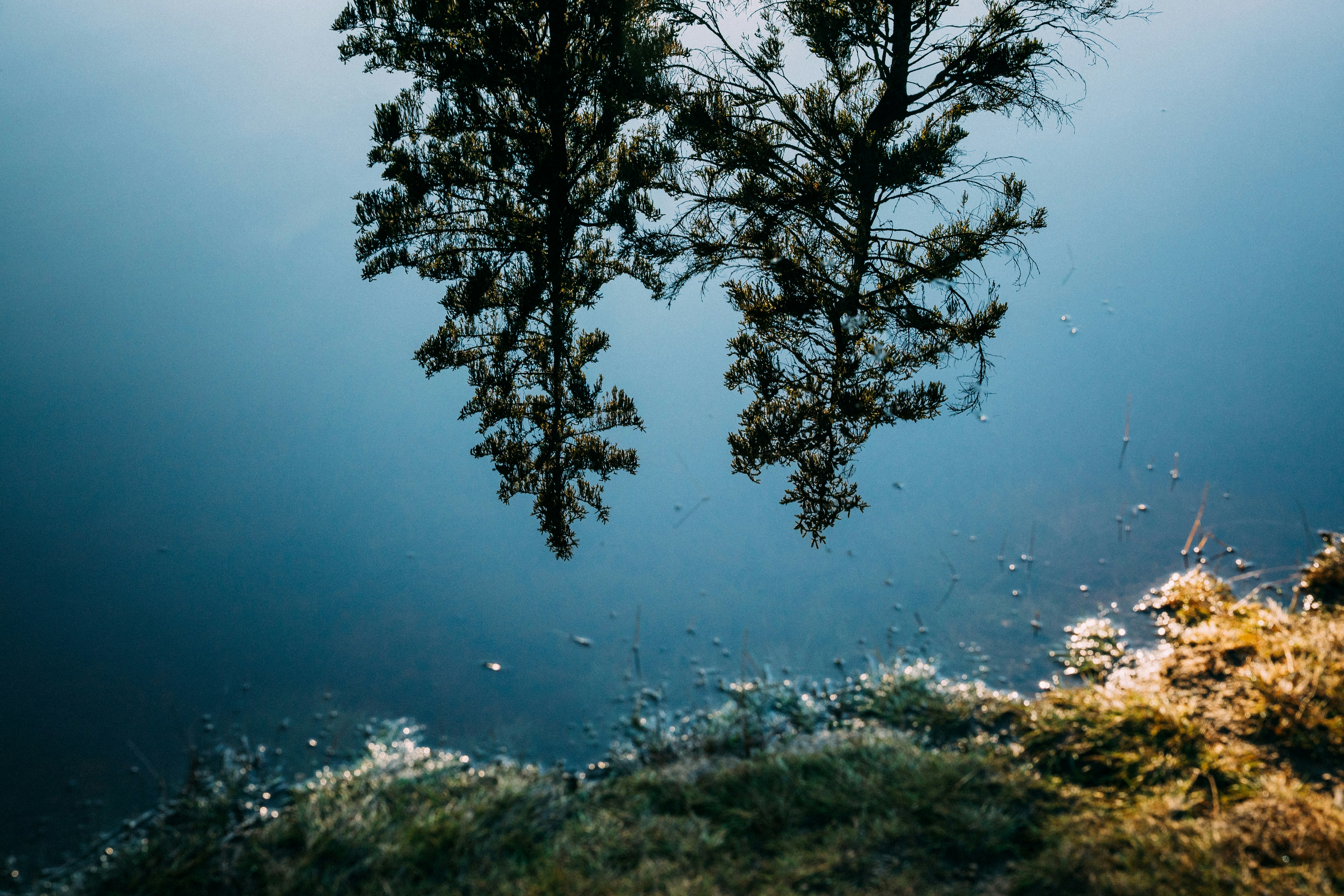 Photo by danny_rienecker