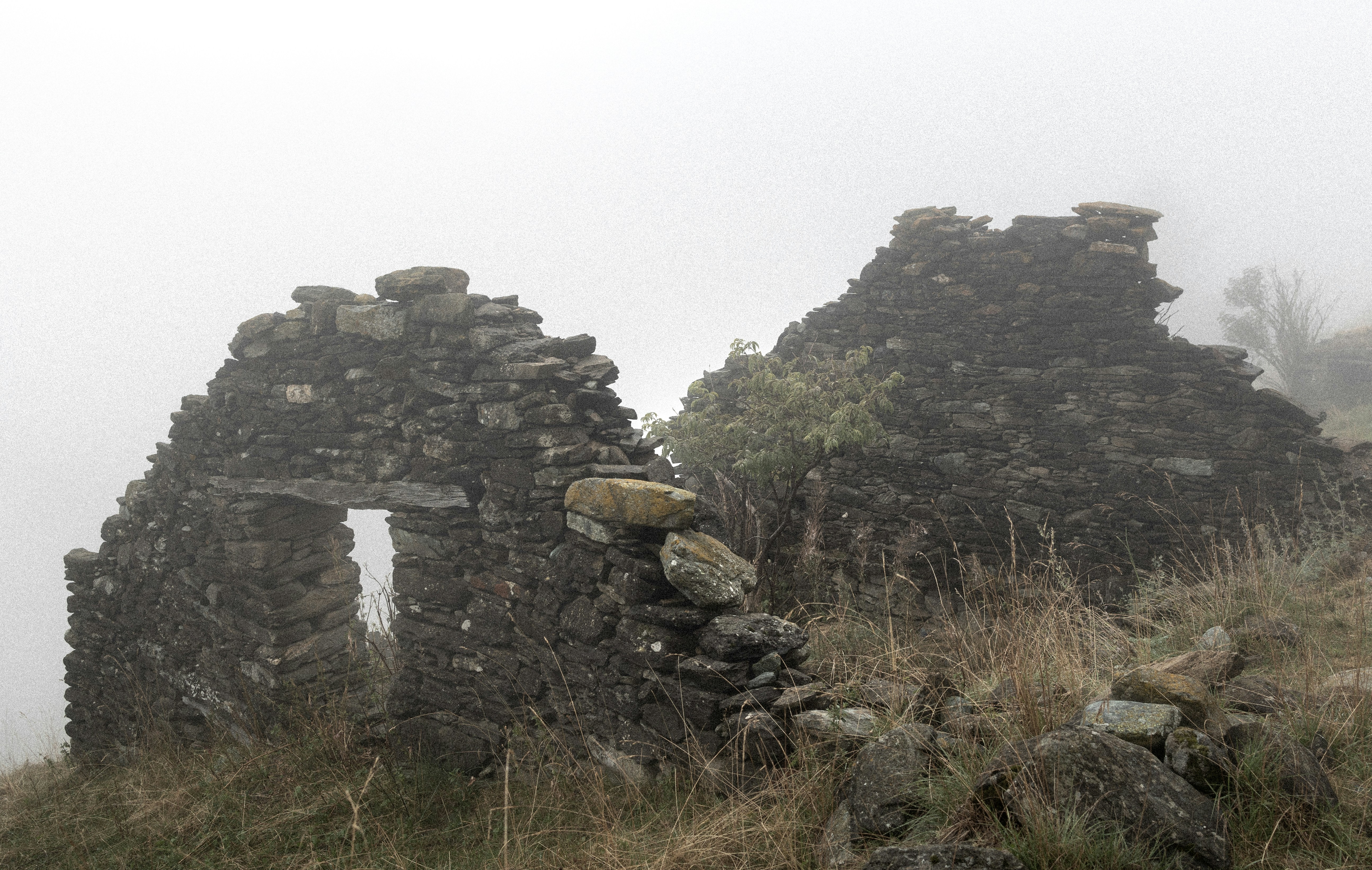 Photo by marekpiwnicki