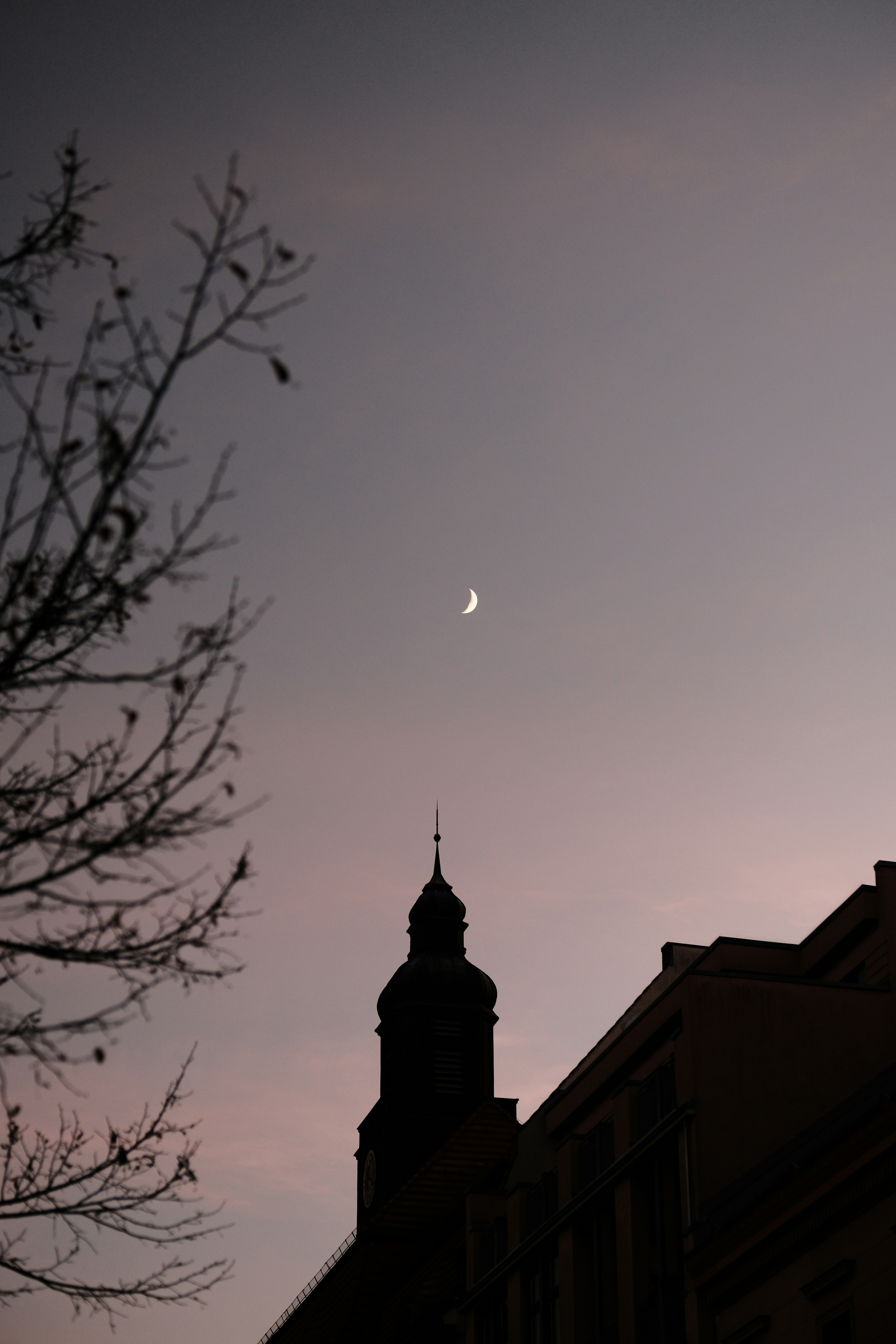 Photo by alekseixagafonov