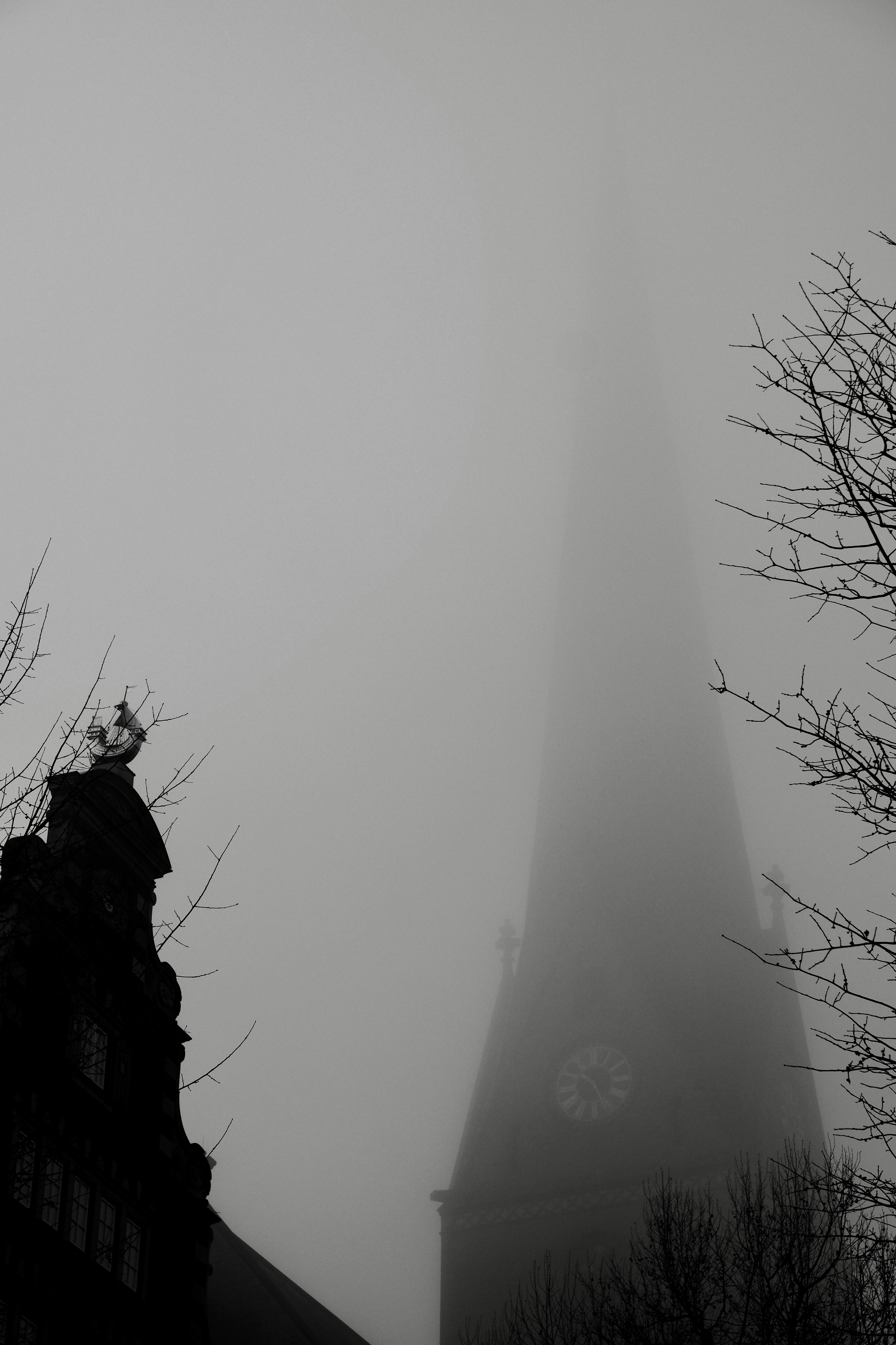 Photo by alekseixagafonov