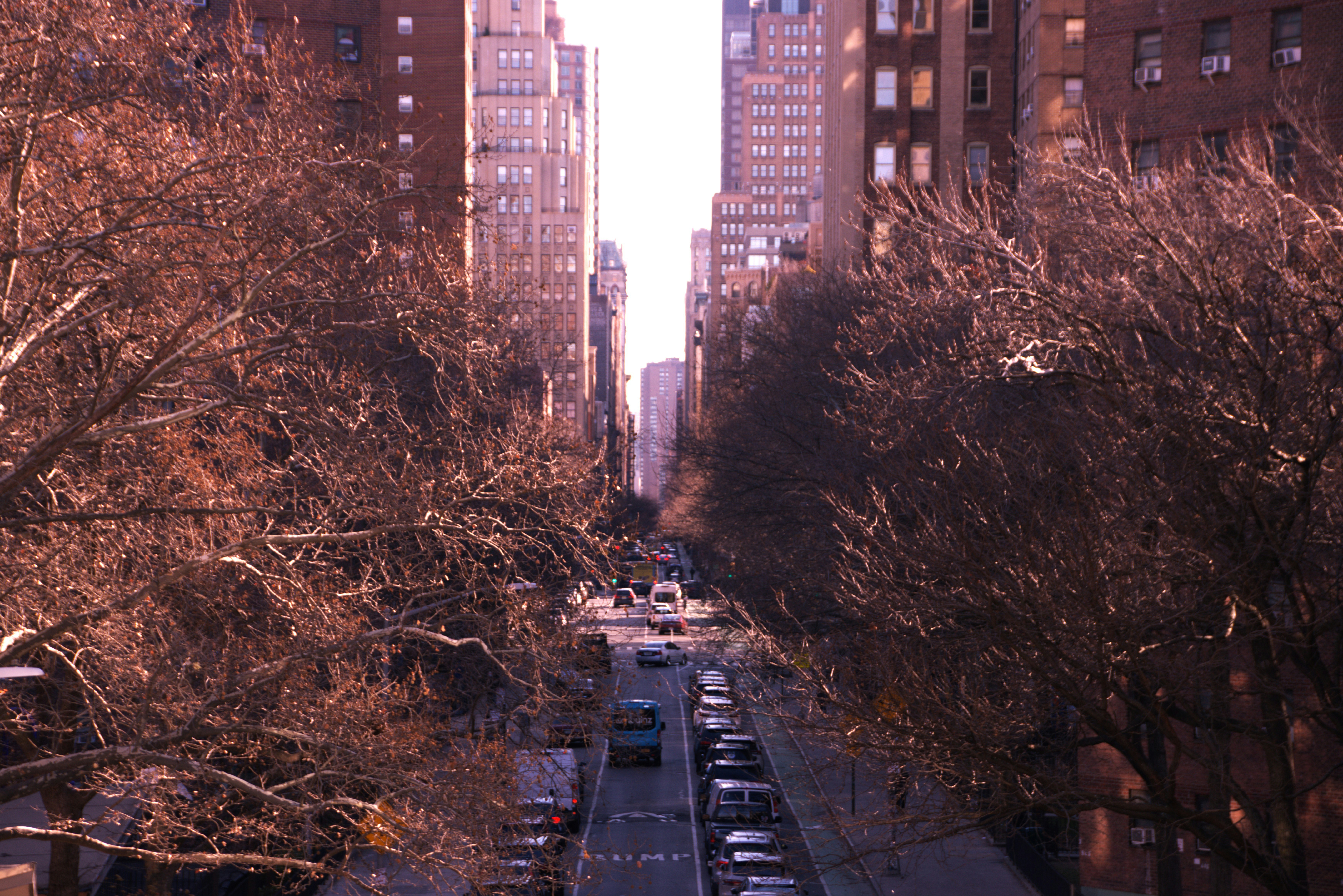 Photo by akshatjisme