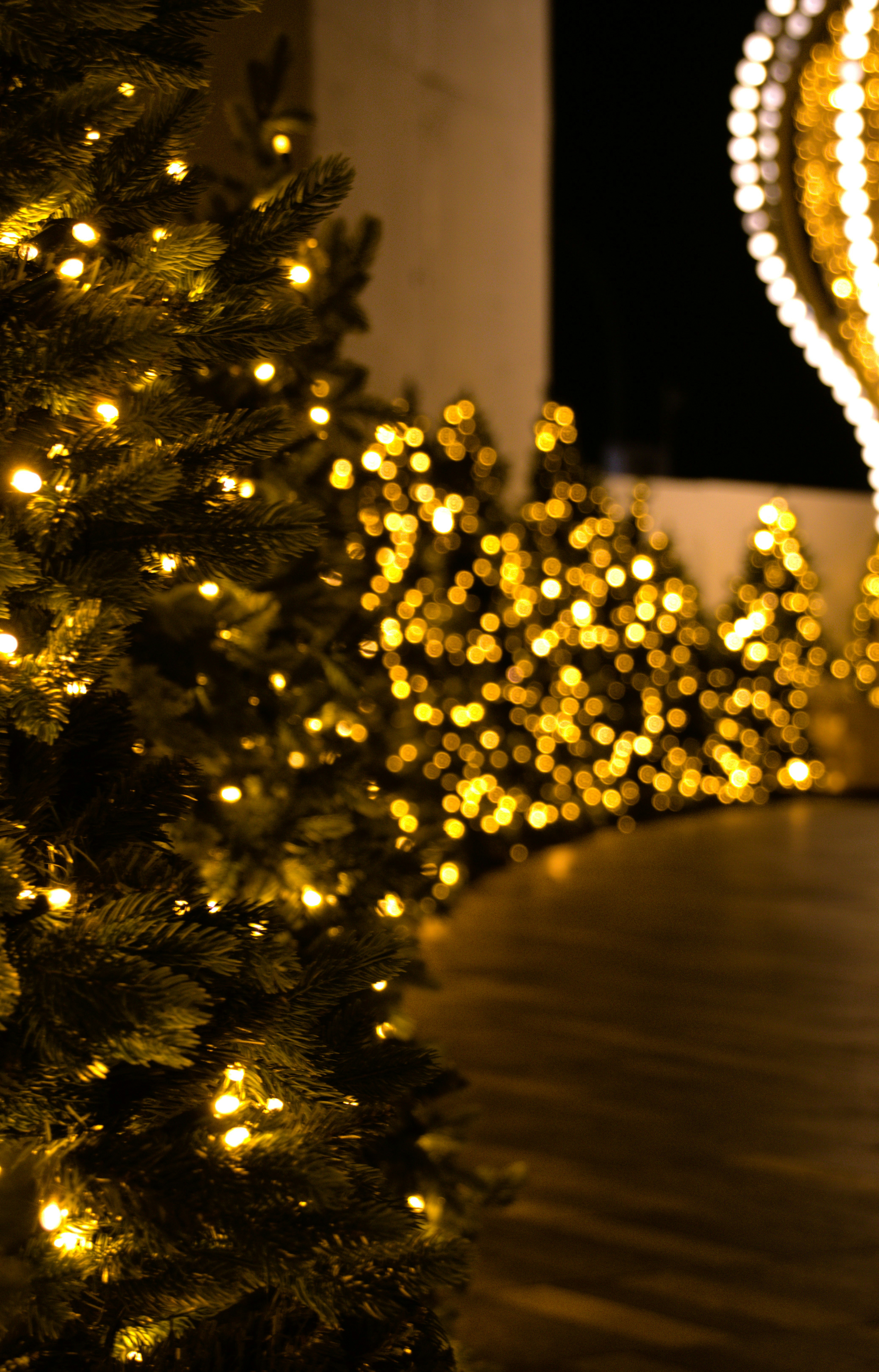 Photo by akshatjisme