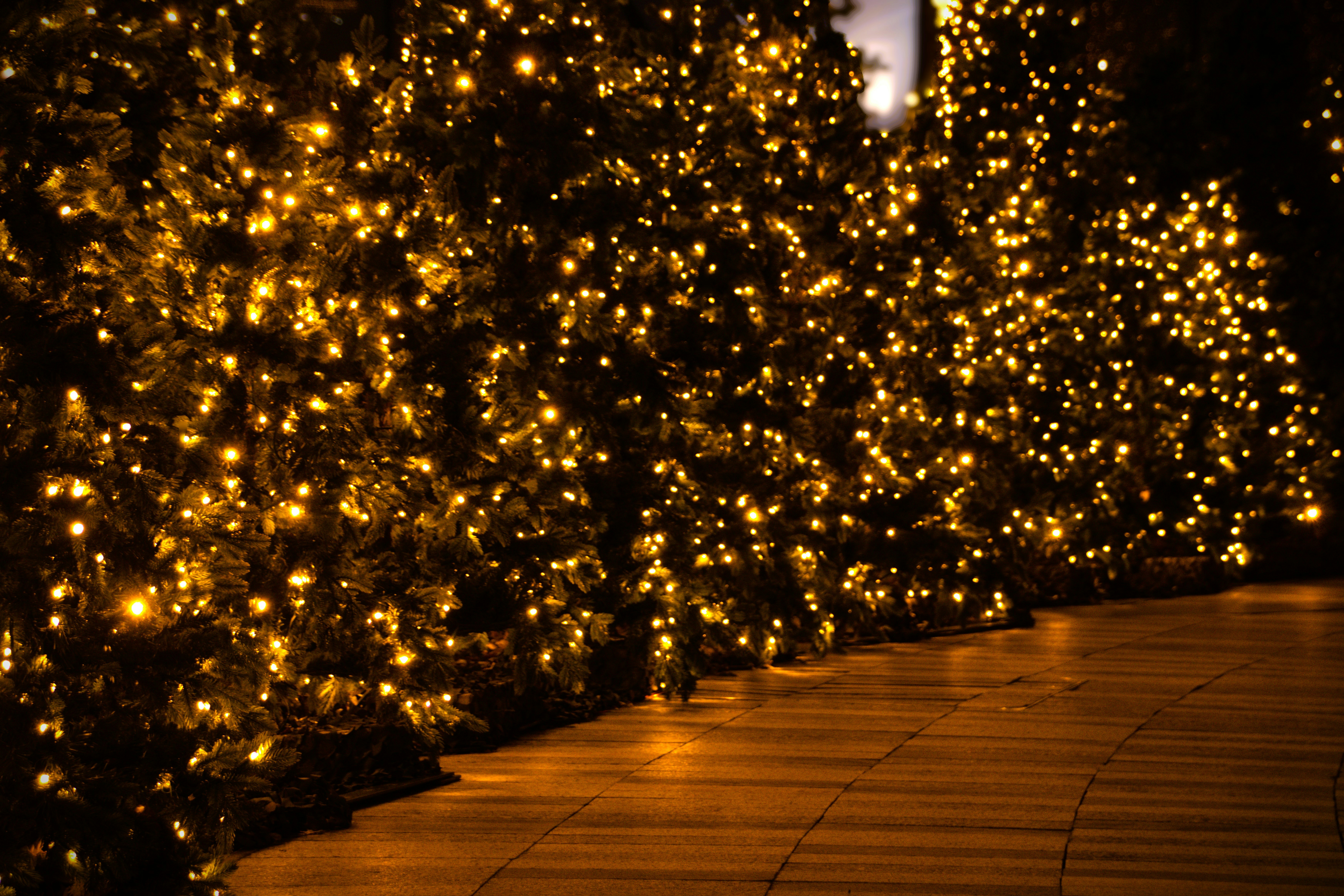 Photo by akshatjisme