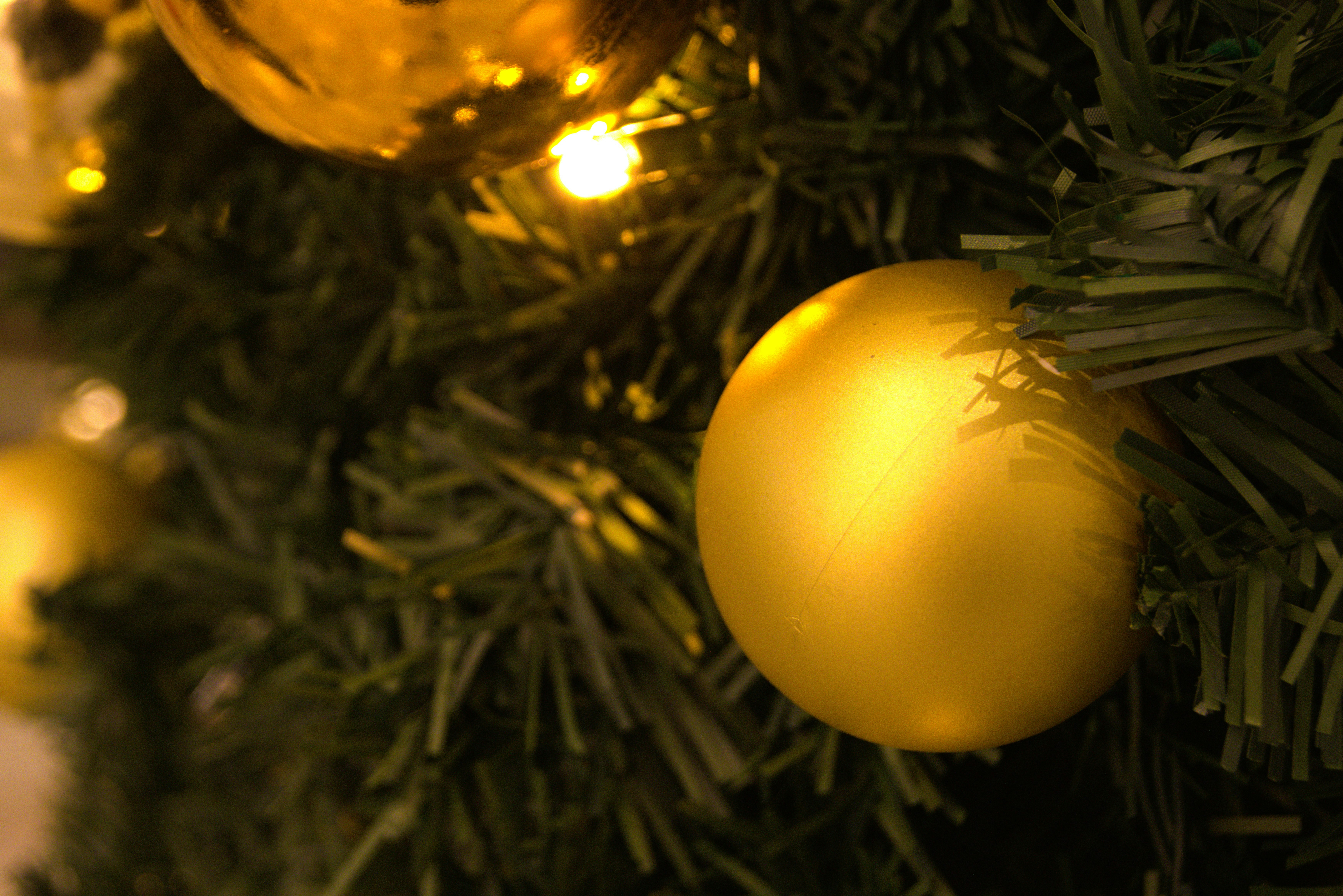 Photo by akshatjisme