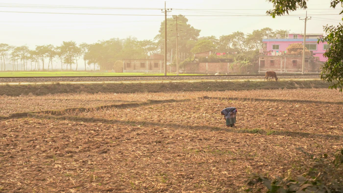 Hands tending tilled soil