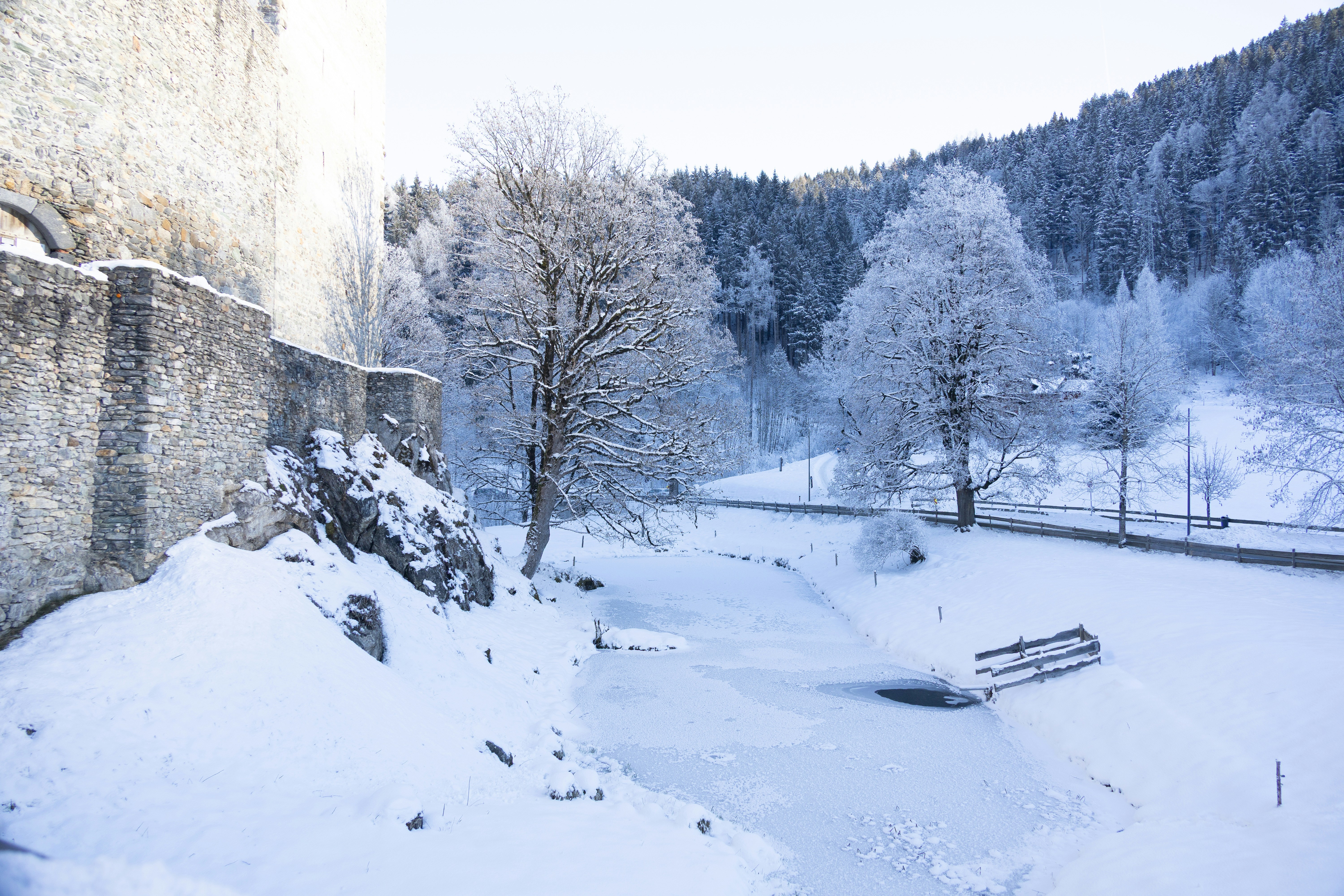 Árboles cubiertos de nieve y un muro de piedra en invierno.