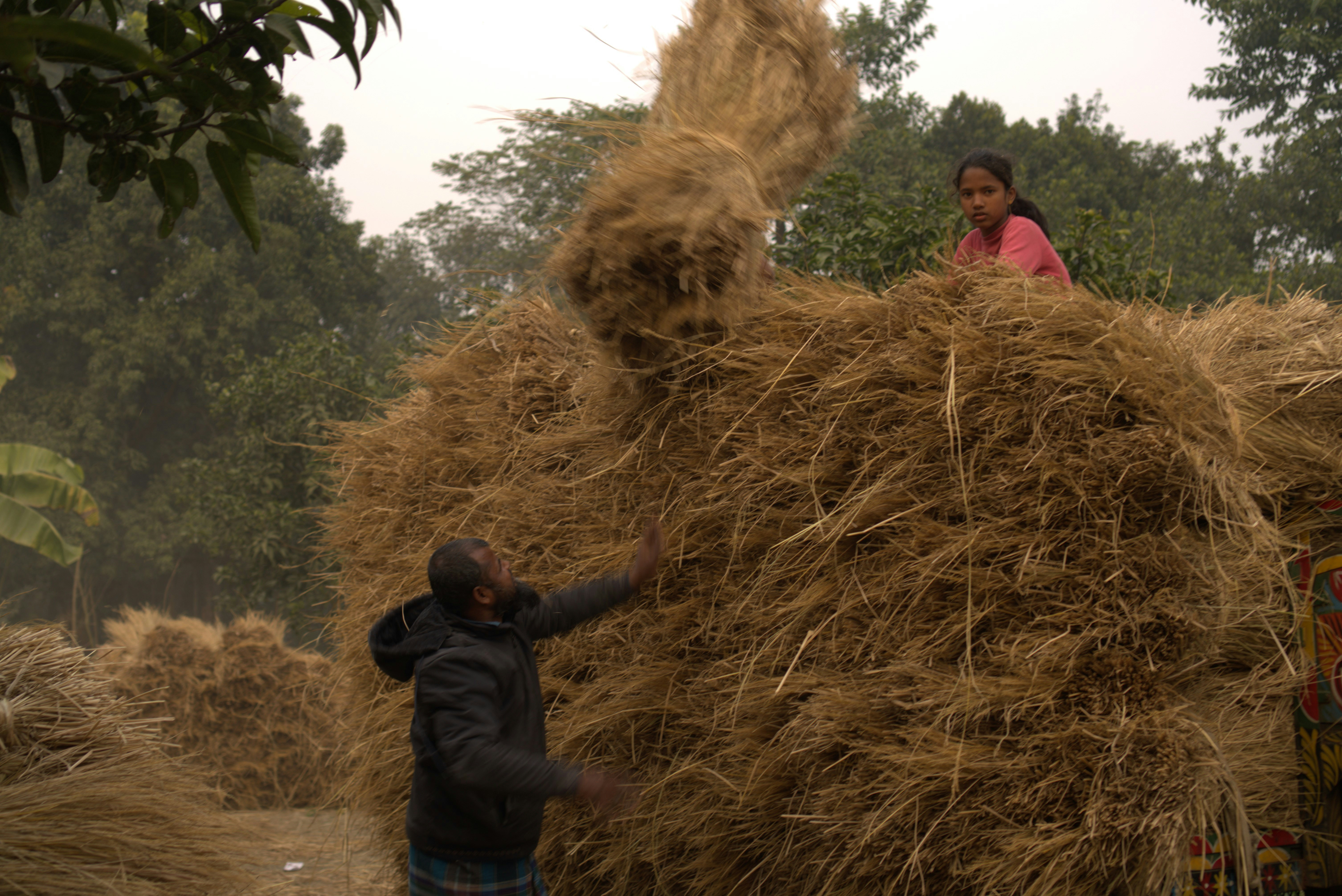 टीवी न्यूज चैनल पर किसान की खबर दिखाते हुए एक स्क्रीनशॉट, जिसके नीचे 