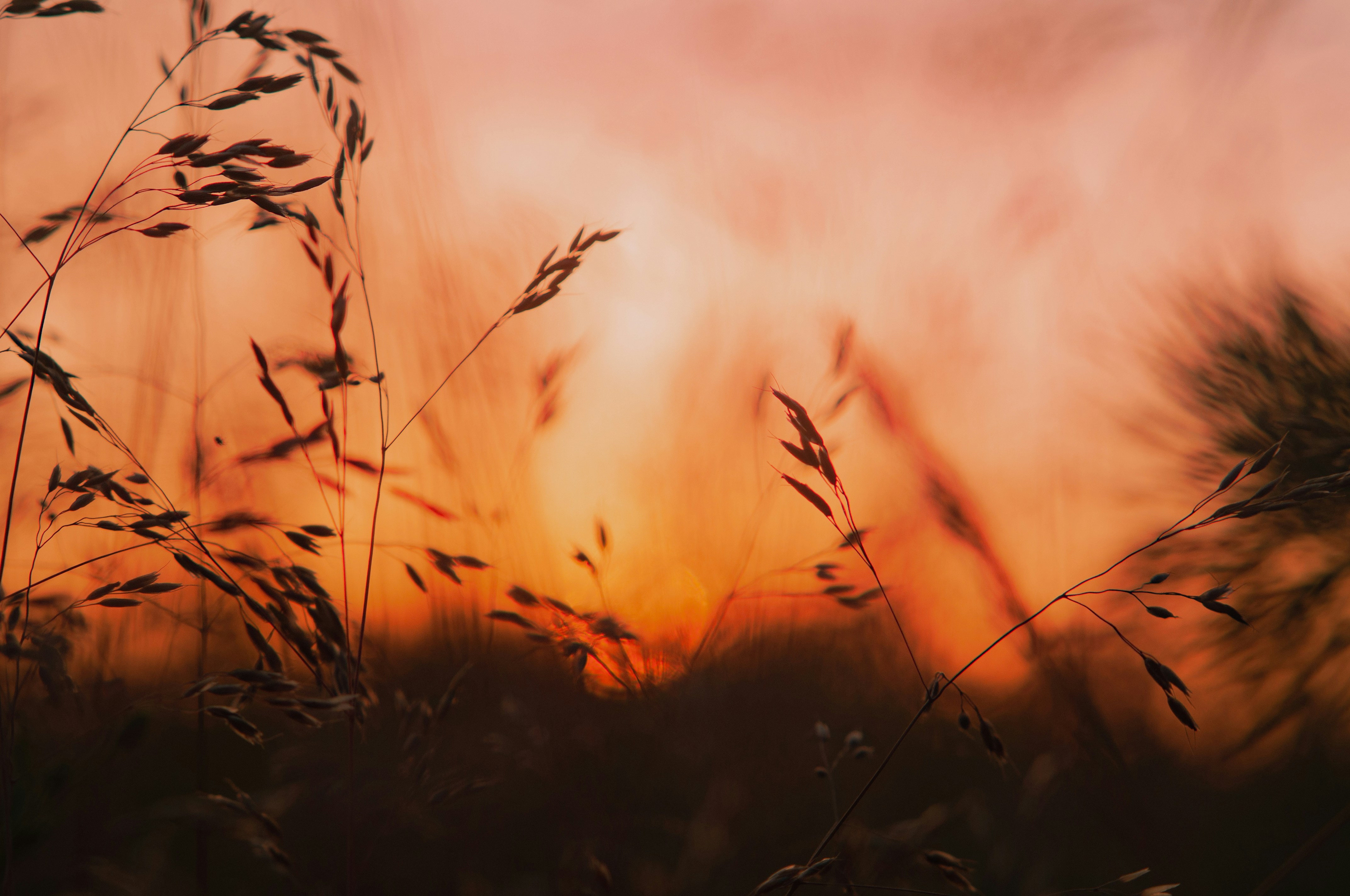 What is the best uncensored AI headshot image generator