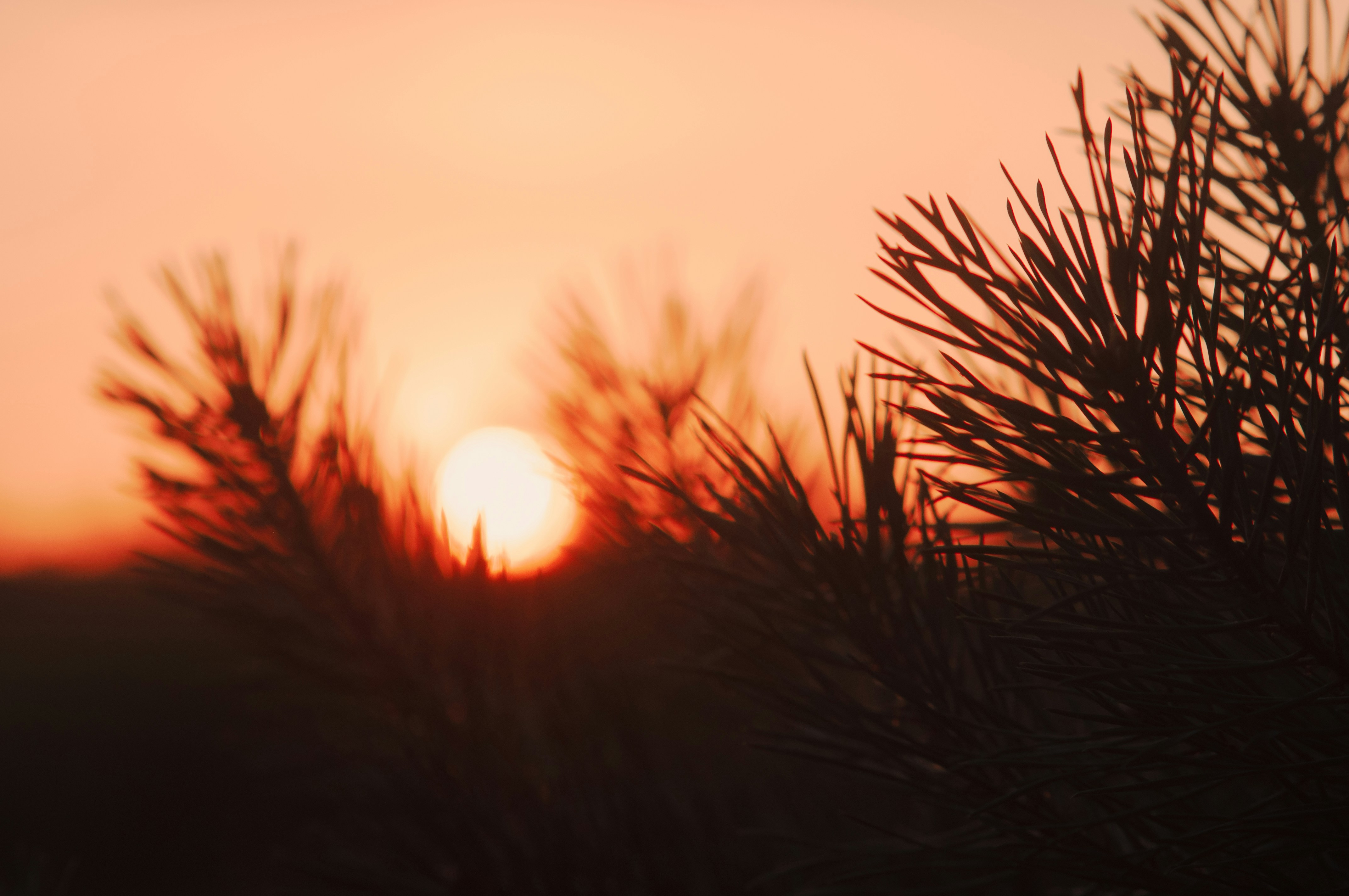 한 달만 해보는 2월 물·수면·걸음수 챌린지