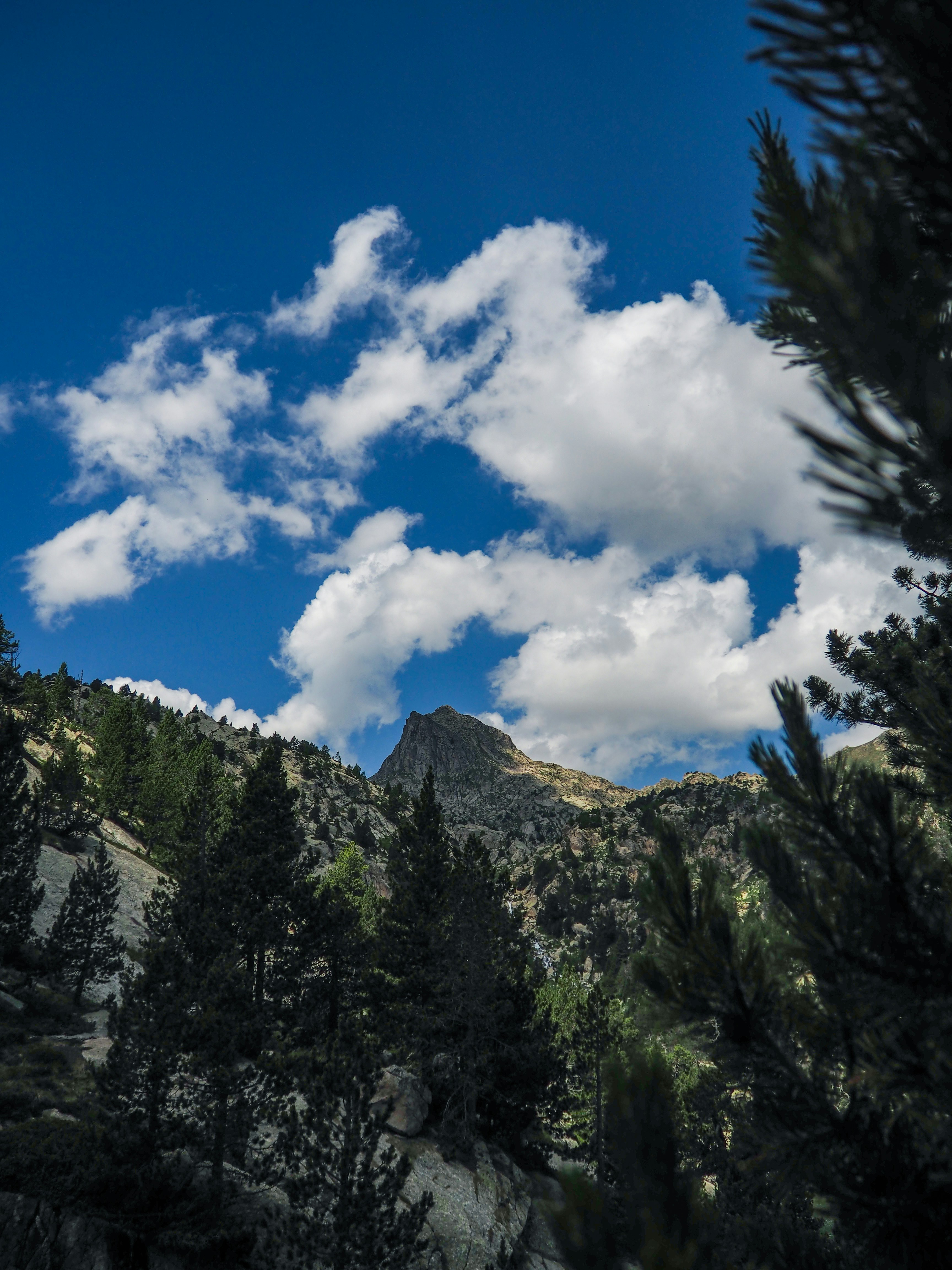 Photo by el_morillas