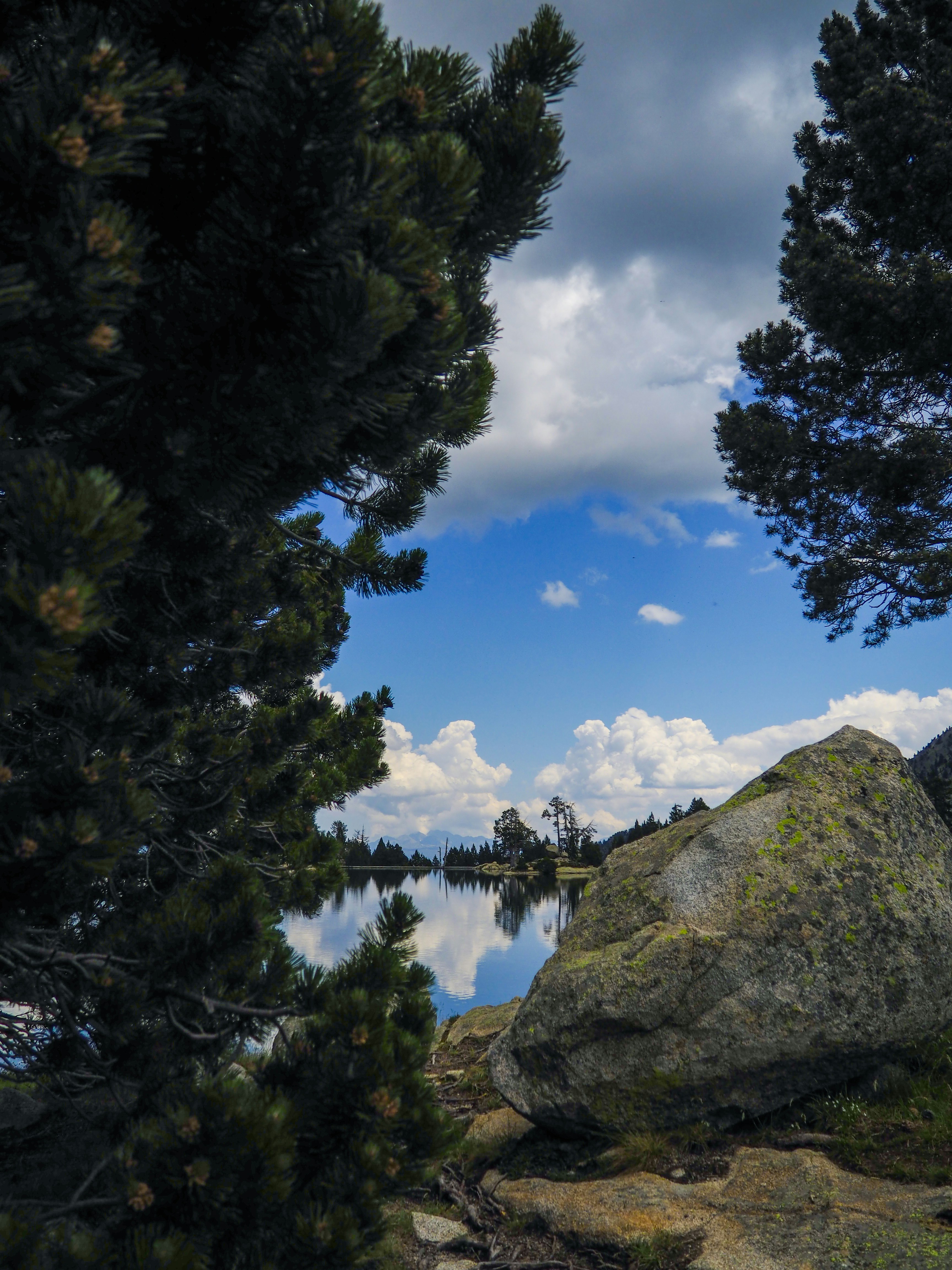 Photo by el_morillas