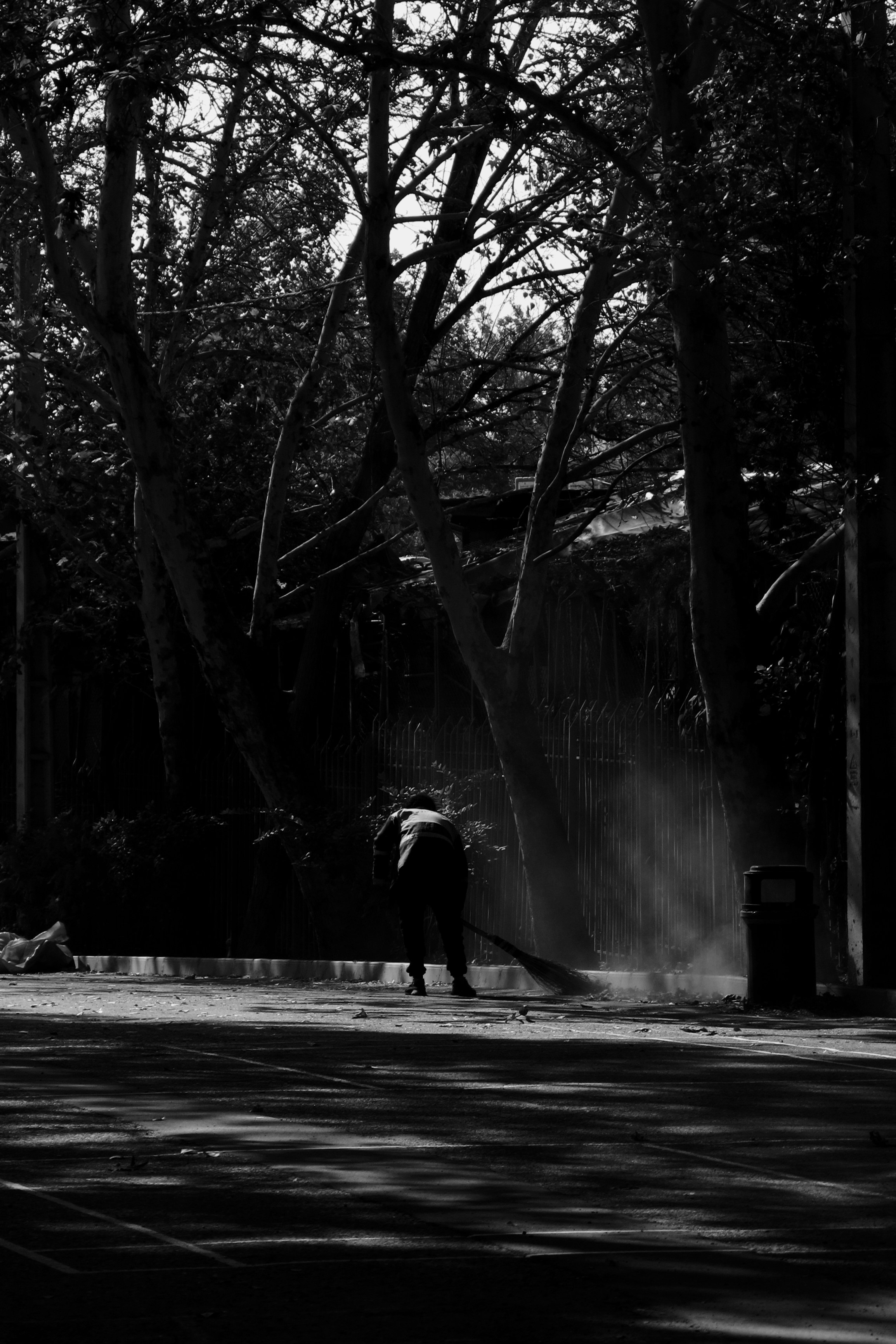 Photo by hadikhazraee