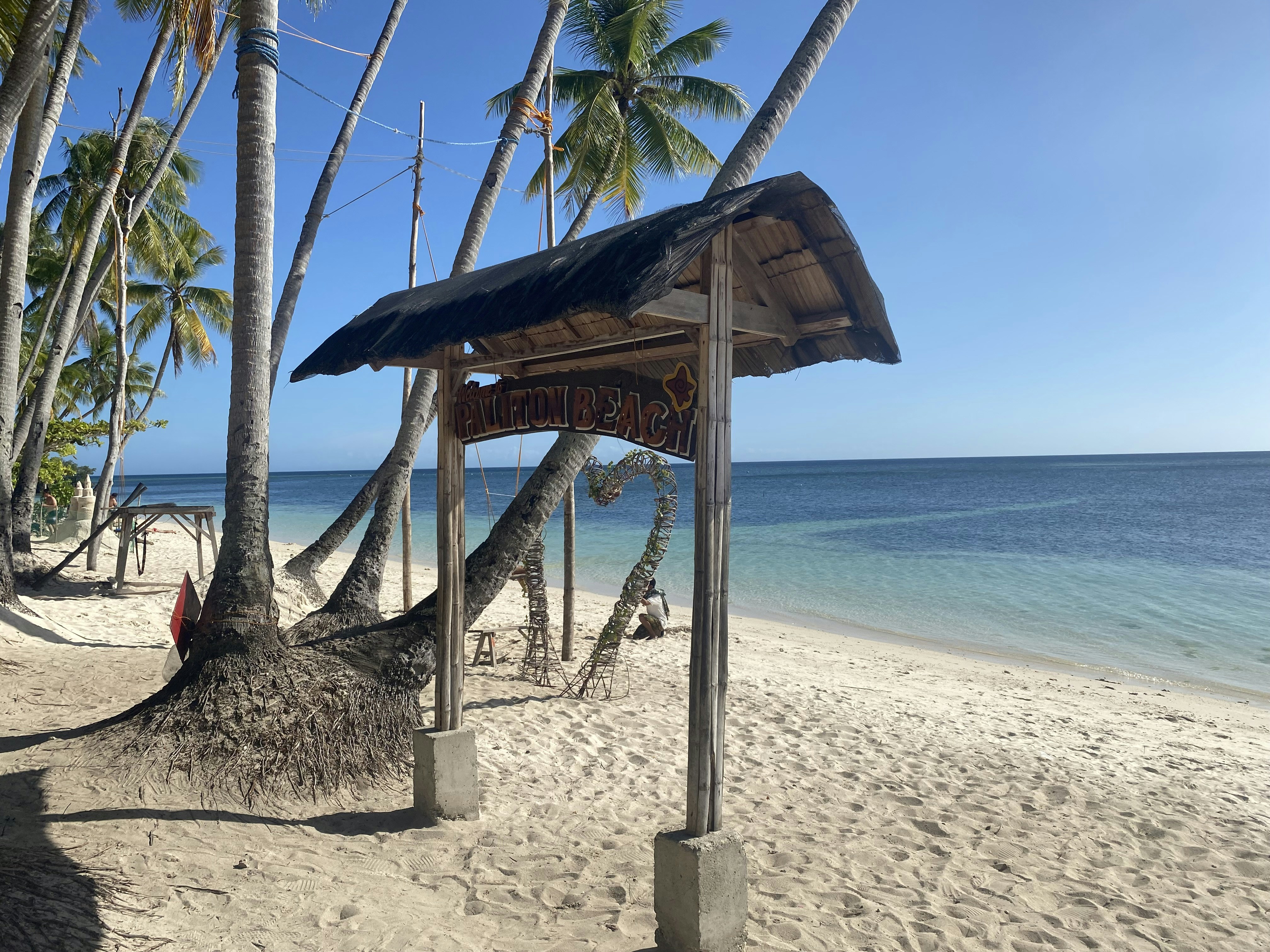 Tropischer Strand mit Palmen und Ozean