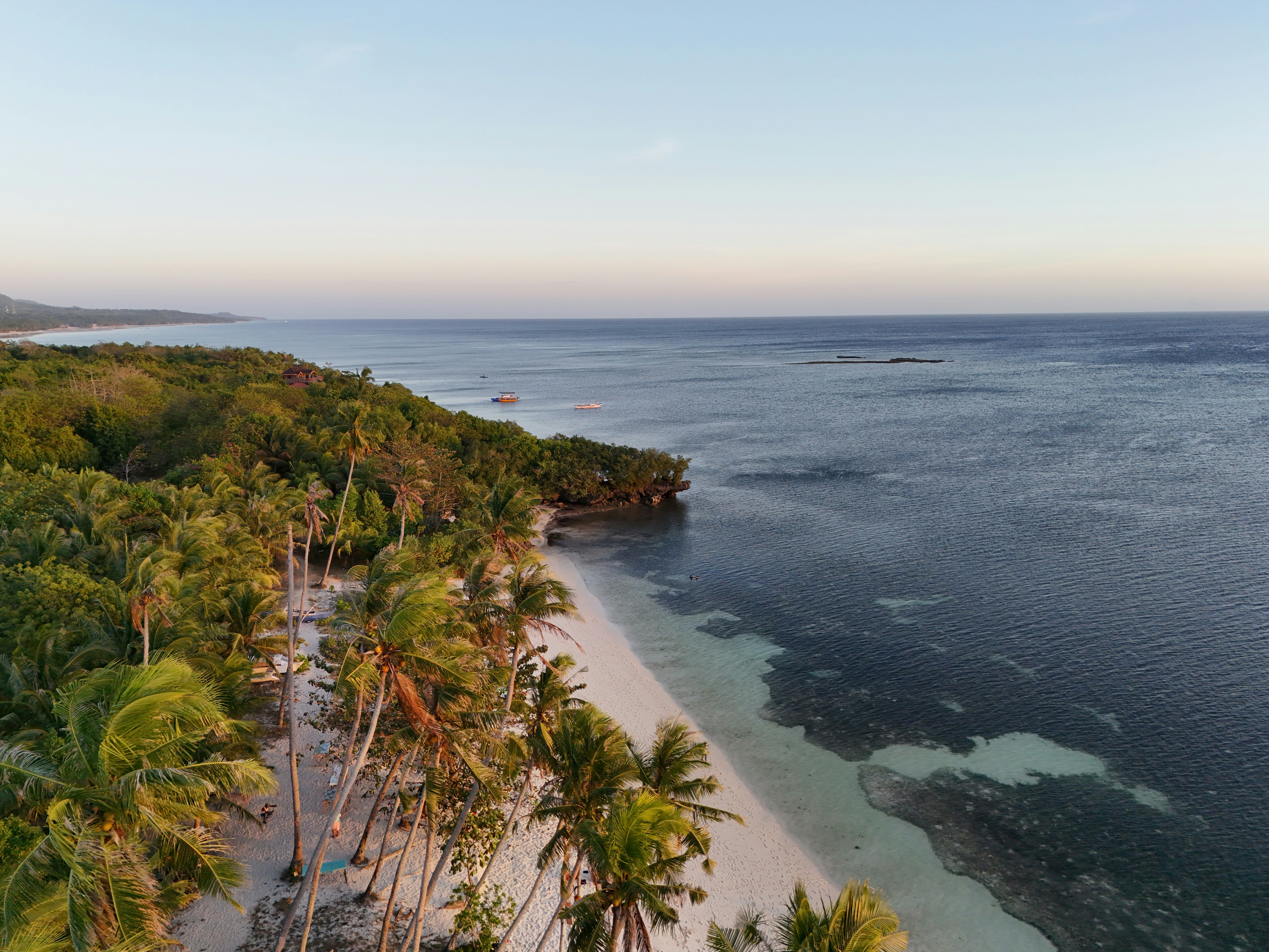 Tropischer Strand mit Palmen und klarem Ozeanwasser.