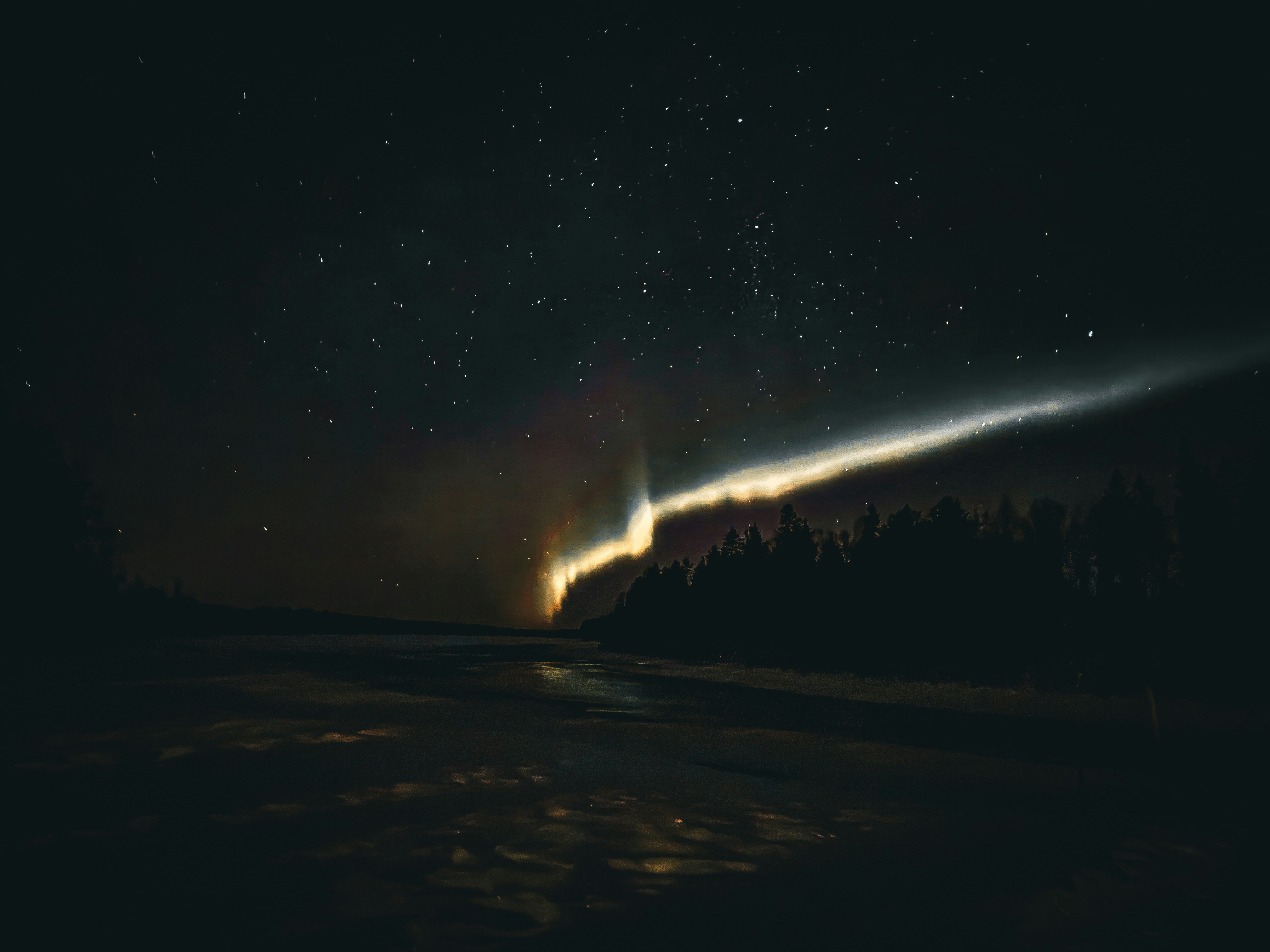 Northern lights over a dark forest and water