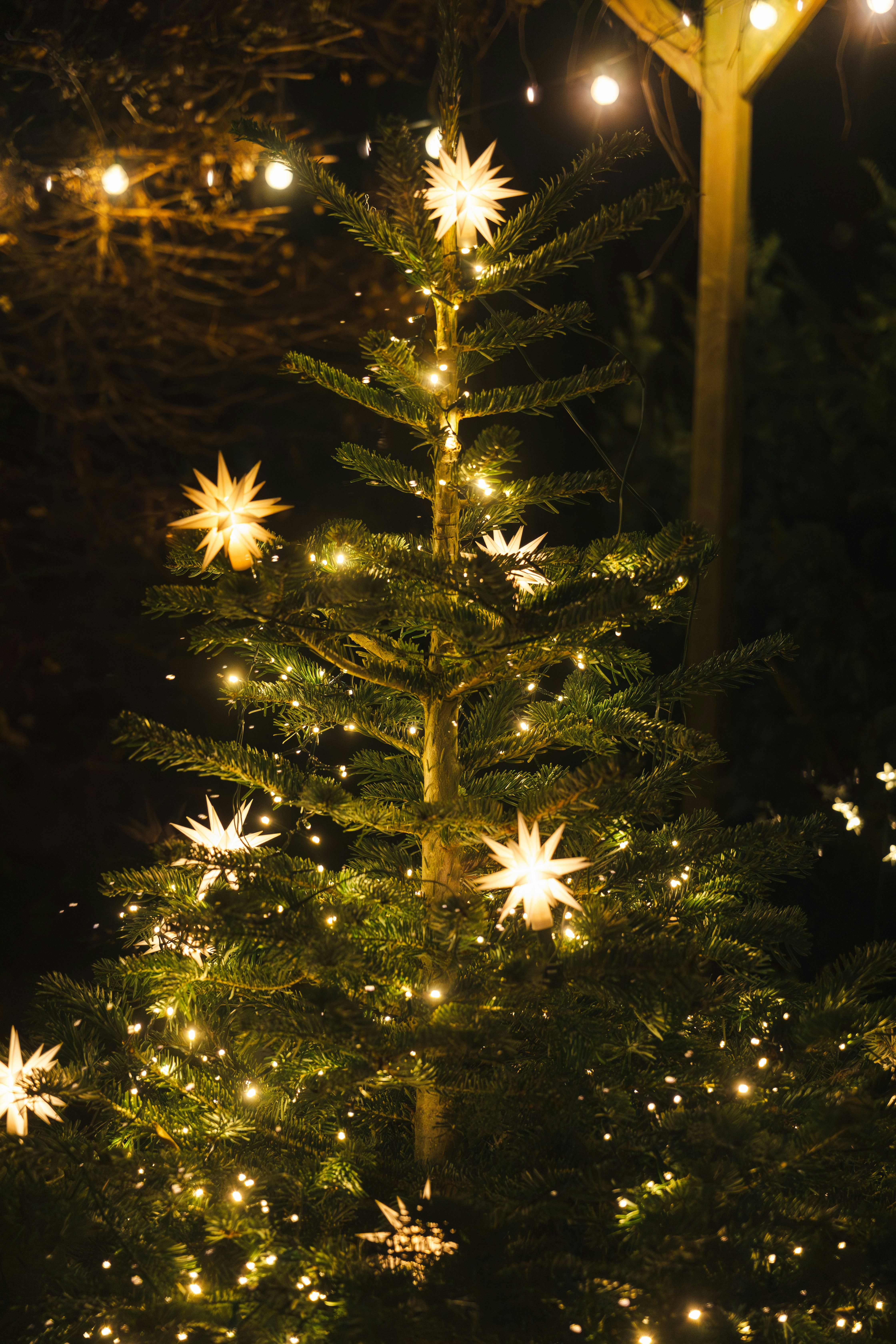 Imágenes de Luces De Navidad Al Aire Libre | Descarga imágenes gratuitas en  Unsplash, image size:3000x4500