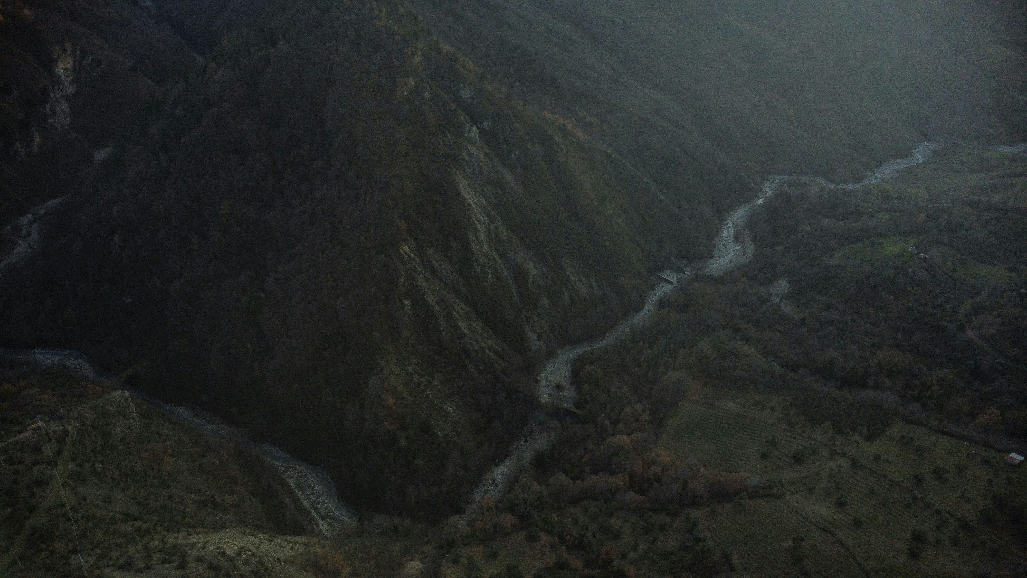 Photo by massiphotos