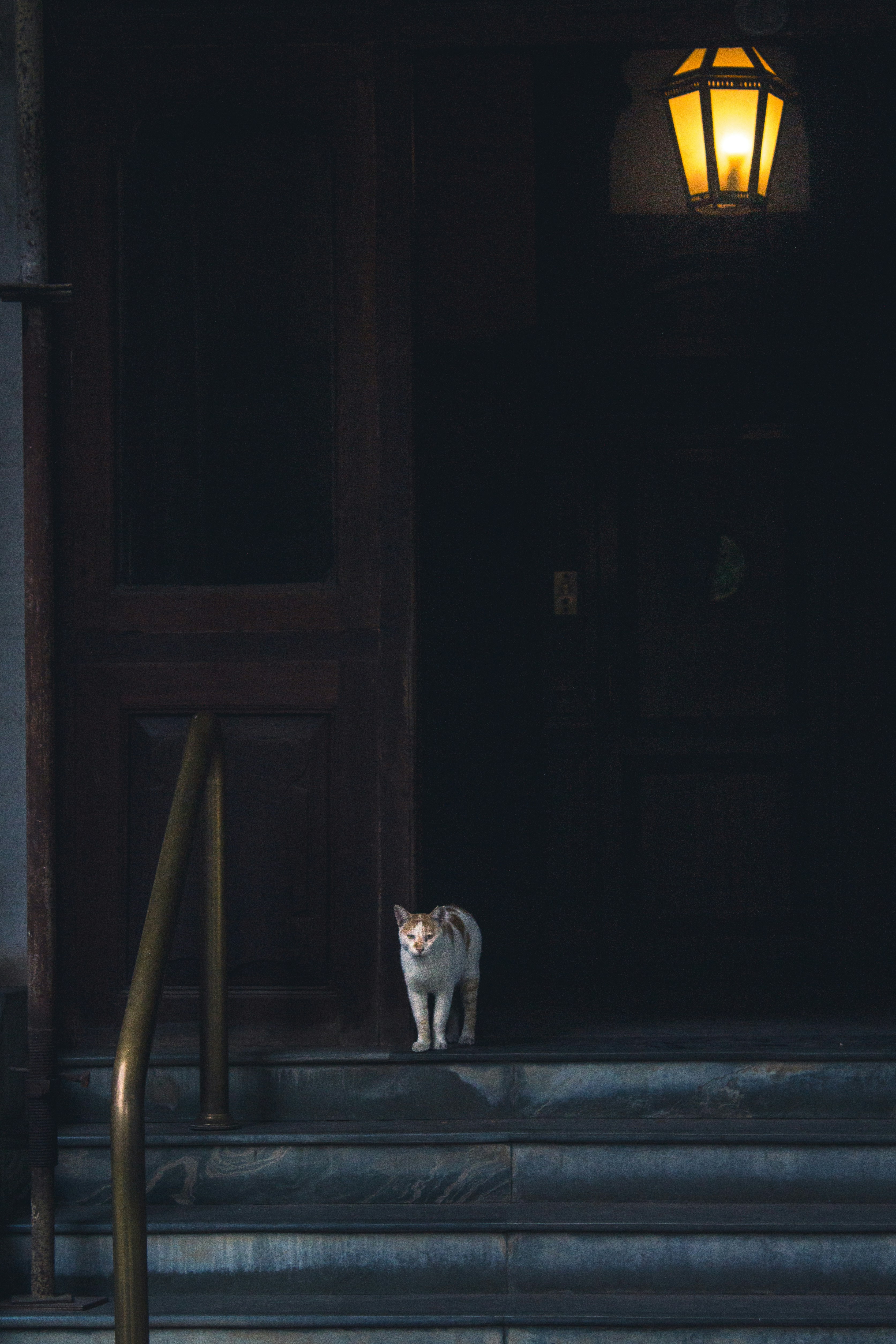 Photo by create_perfectly123