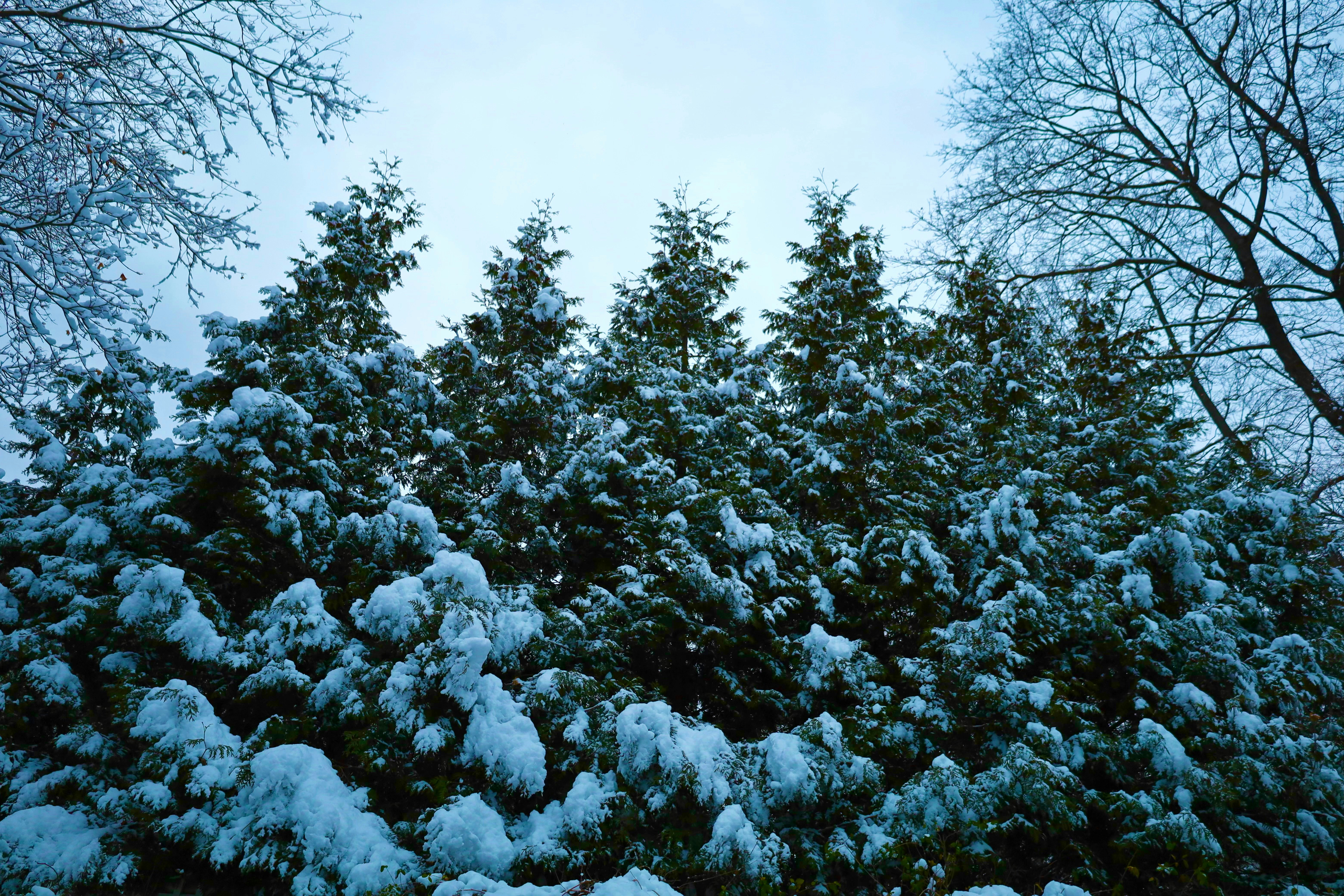 Photo by ananoelleeeee