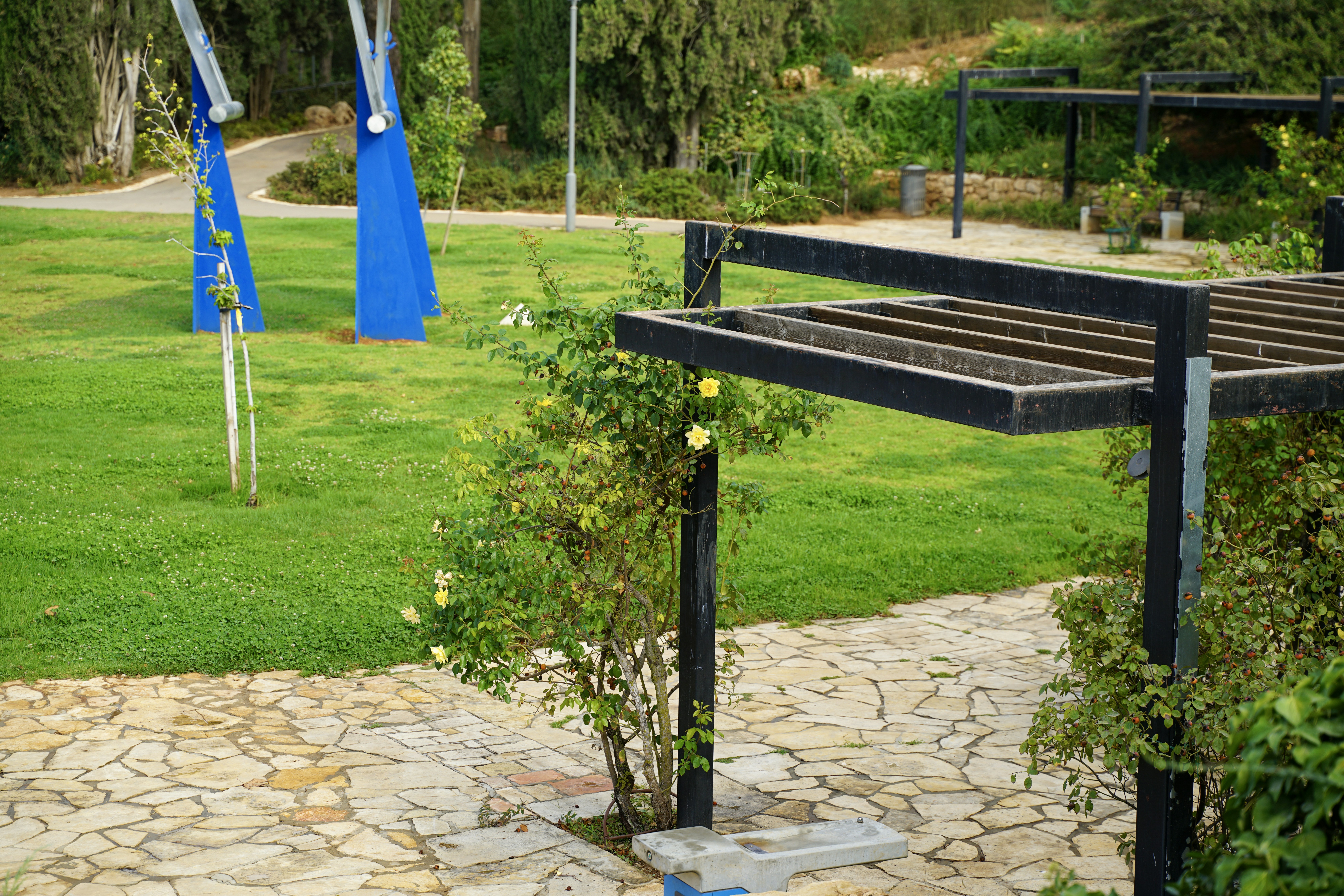 Park with green grass and modern structures