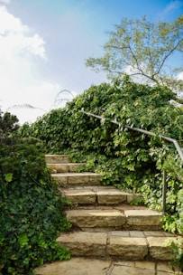 Каменни стъпала, изкачващи се през гъст бръшлян и зеленина в Батак.