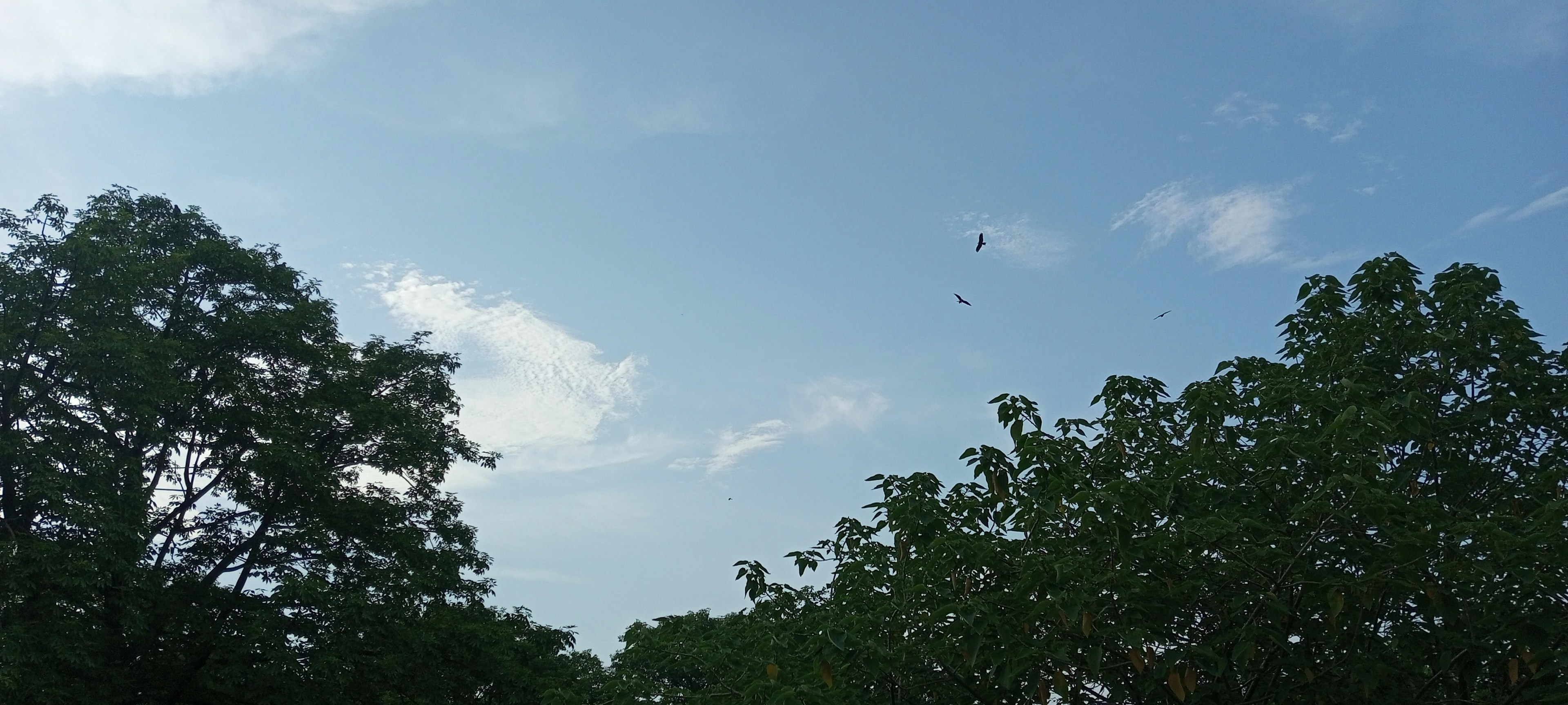 calm blue sky, ilustrasi artikel Wedding Week Warrior: Essential Self-Care for a Blissful Big Day 4