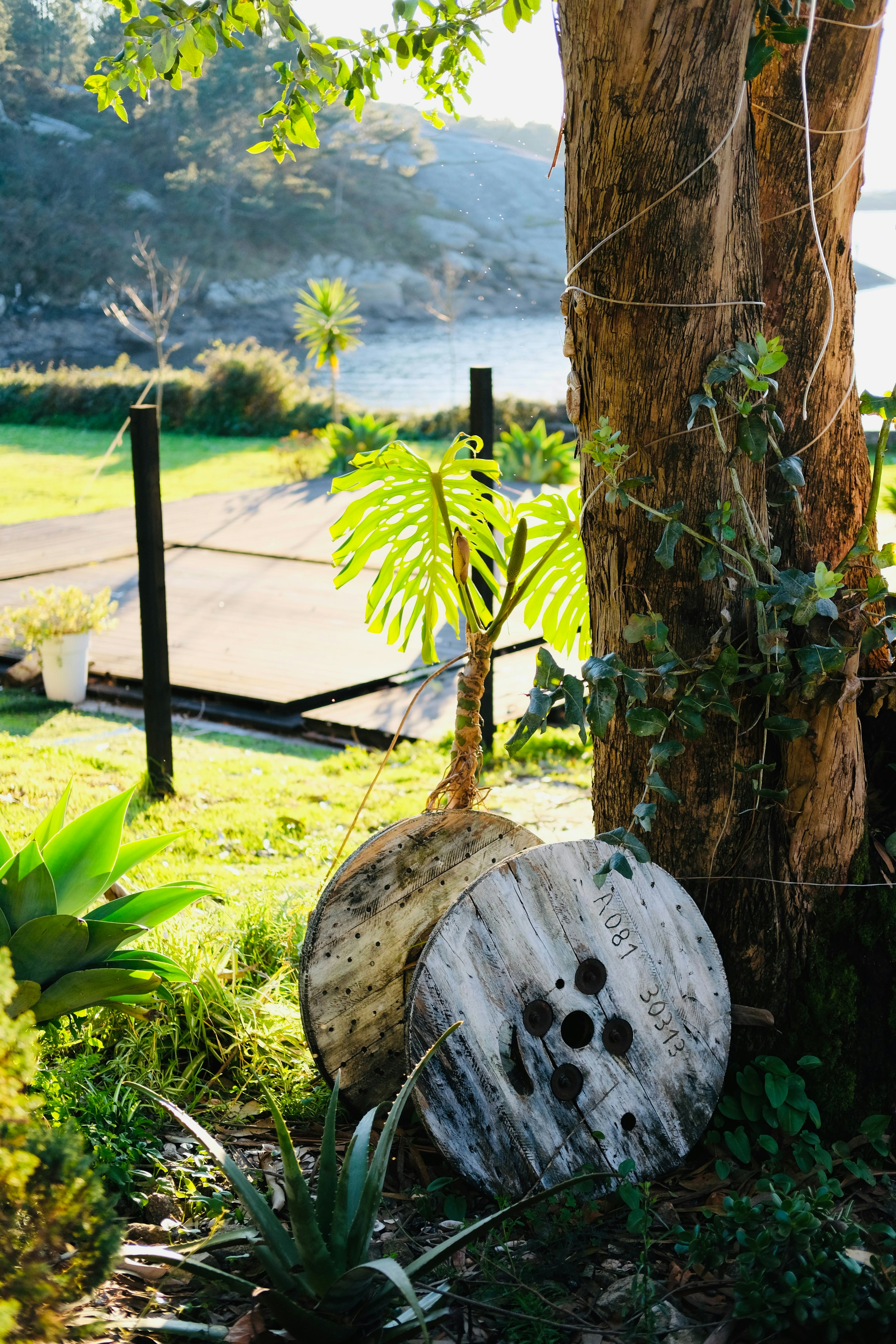 unique property features