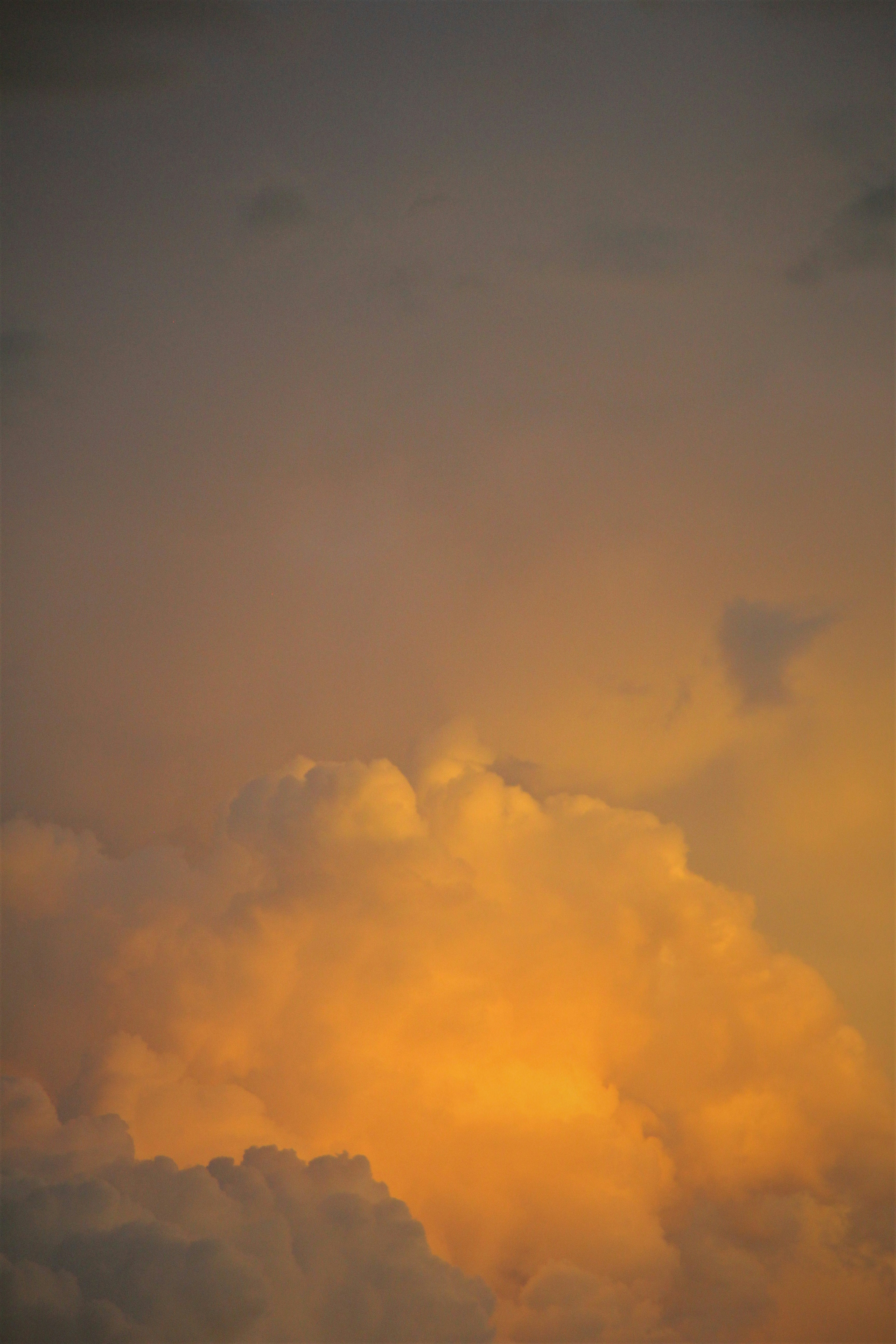 Golden clouds illuminated by the setting sun.